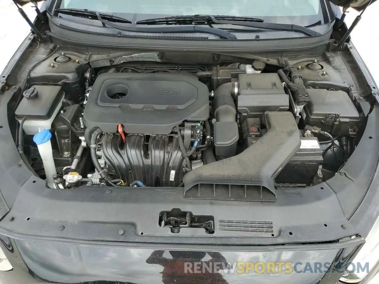 13 Photograph of a damaged car 5NPE24AF3KH729691 HYUNDAI SONATA 2019