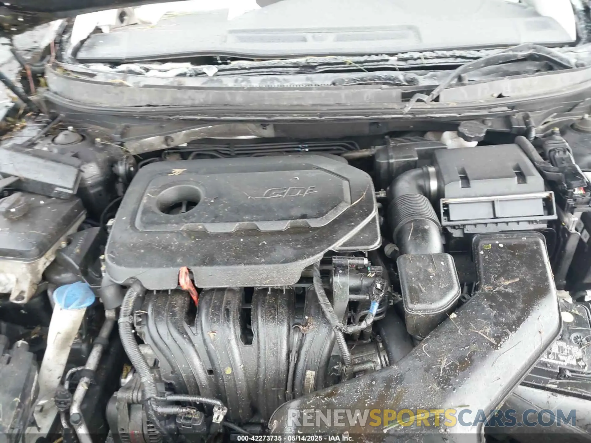 10 Photograph of a damaged car 5NPE24AF3KH780396 HYUNDAI SONATA 2019