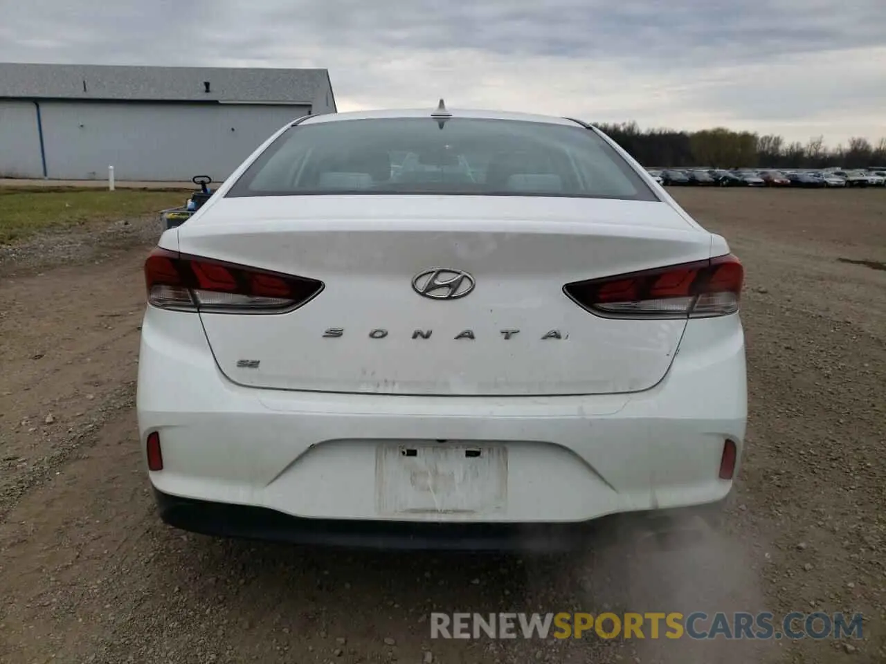6 Photograph of a damaged car 5NPE24AF3KH782519 HYUNDAI SONATA 2019