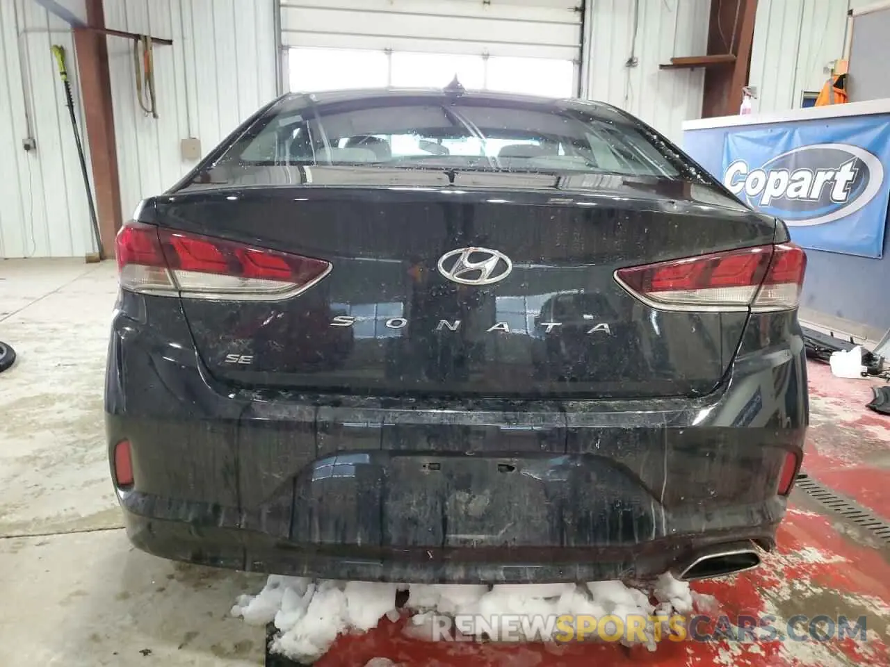 6 Photograph of a damaged car 5NPE24AF4KH751196 HYUNDAI SONATA 2019