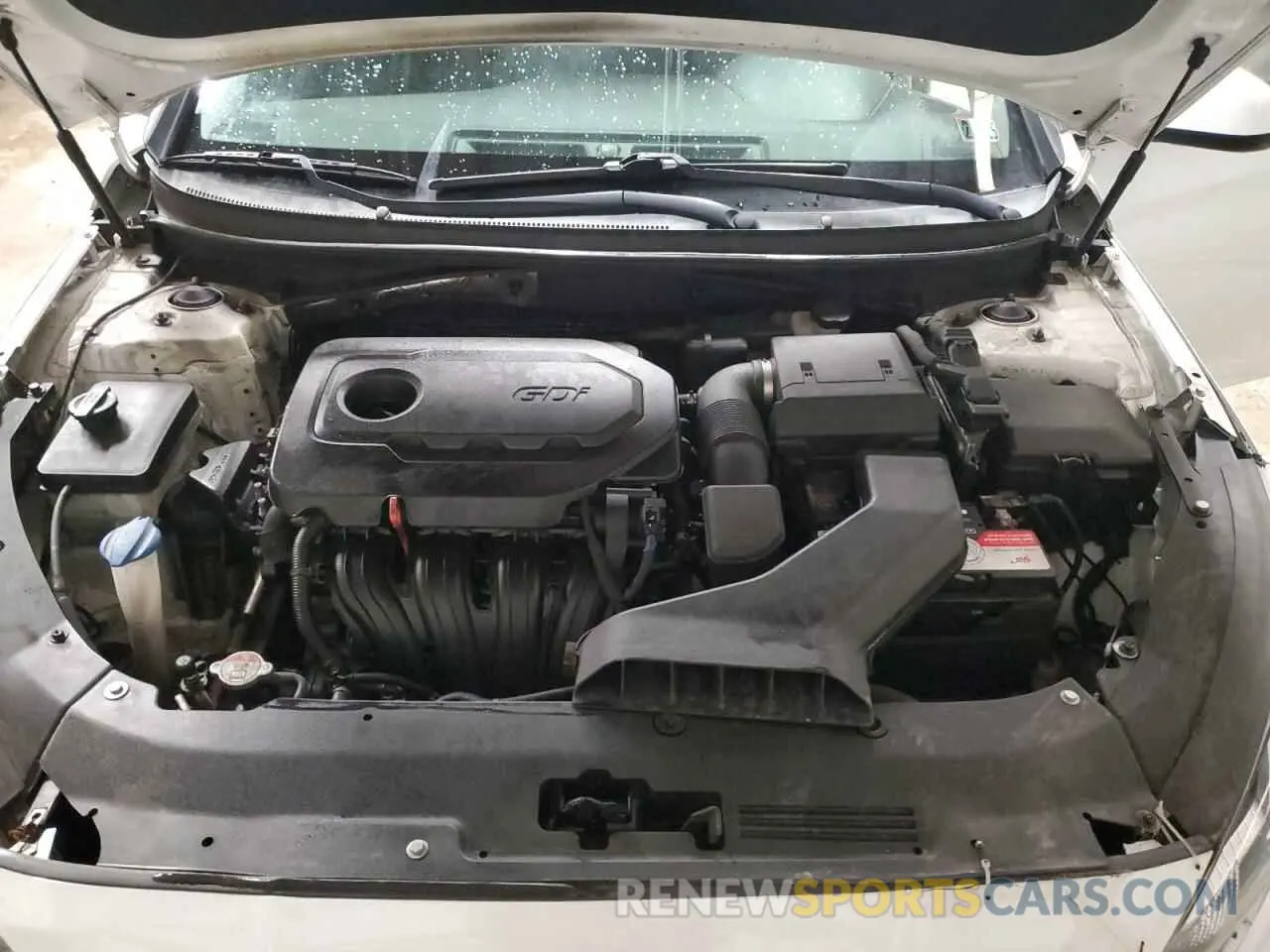 11 Photograph of a damaged car 5NPE24AF4KH818038 HYUNDAI SONATA 2019