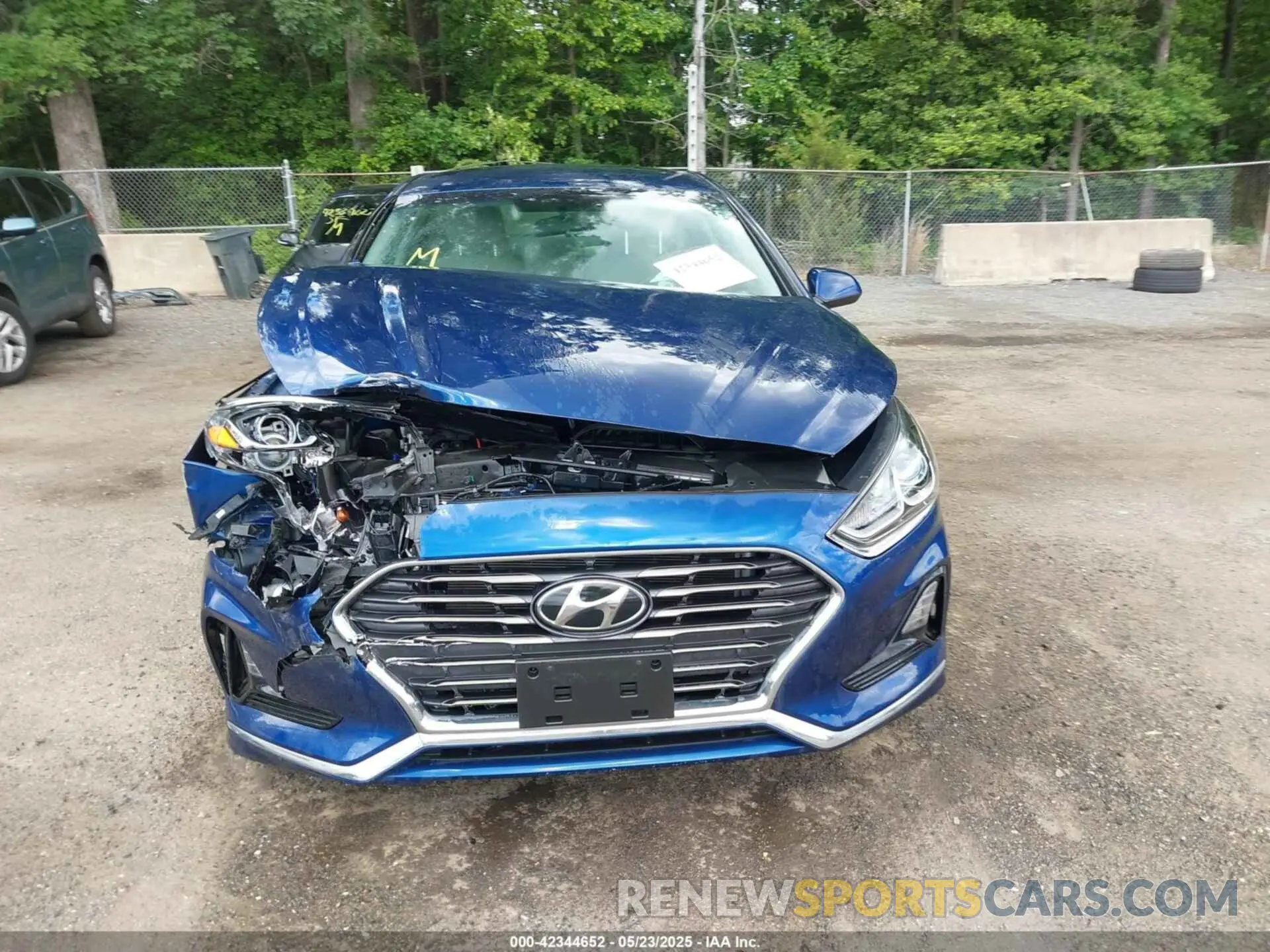 12 Photograph of a damaged car 5NPE24AF5KH790573 HYUNDAI SONATA 2019