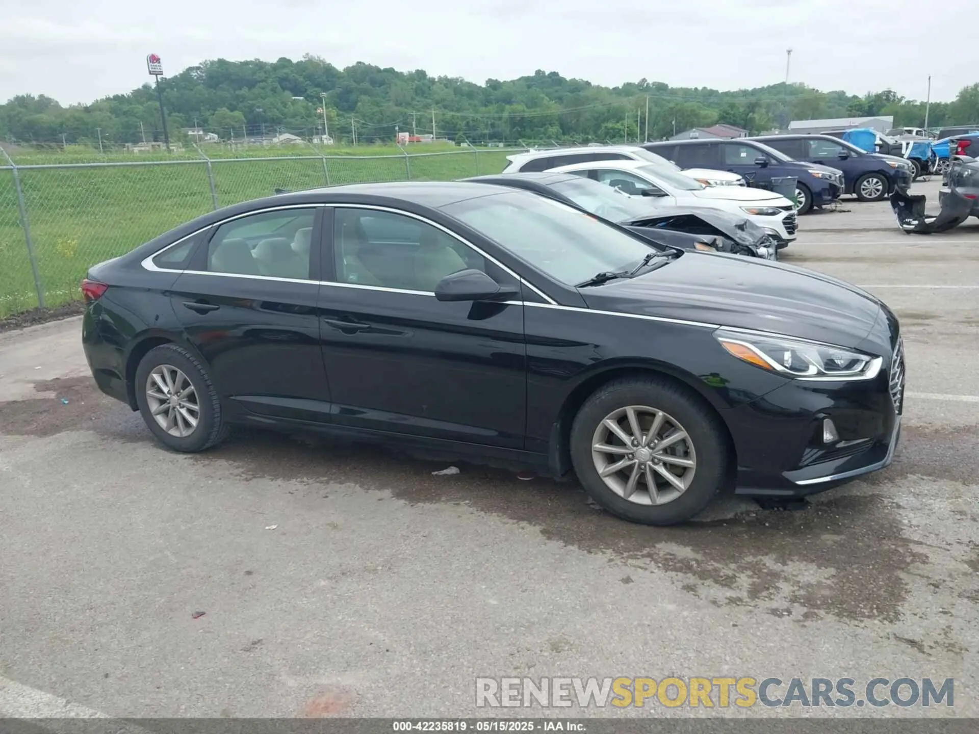 13 Фотография поврежденного автомобиля 5NPE24AF5KH805900 HYUNDAI SONATA 2019