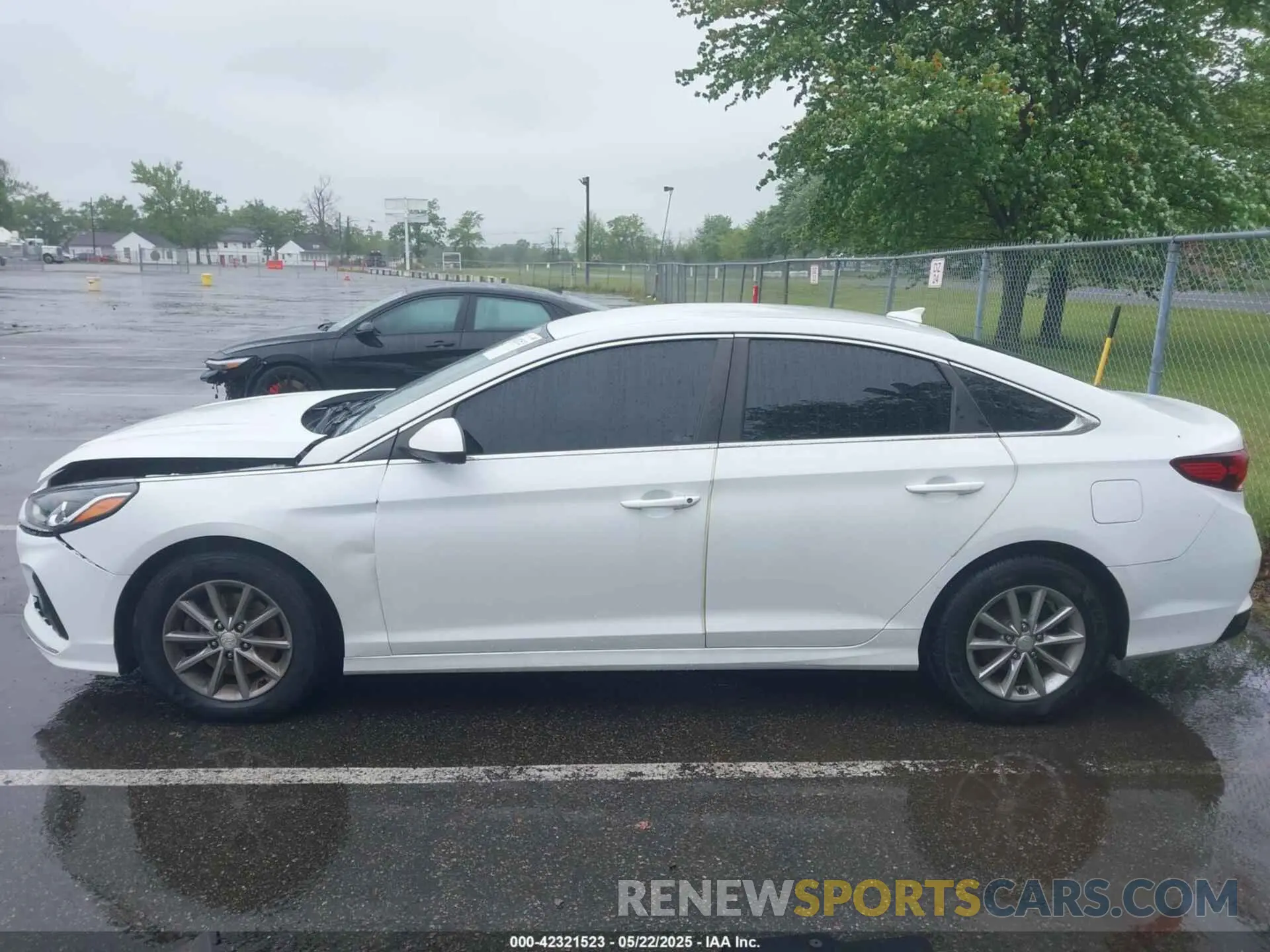 14 Photograph of a damaged car 5NPE24AF6KH741981 HYUNDAI SONATA 2019