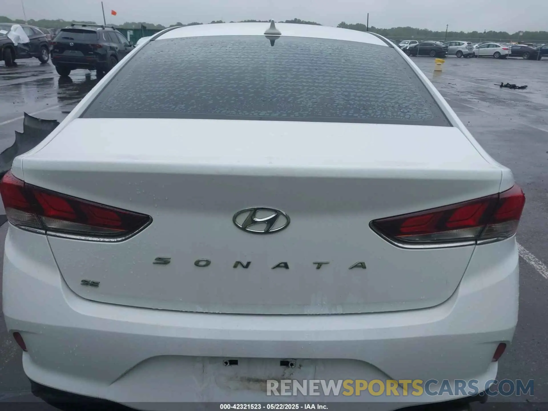 16 Photograph of a damaged car 5NPE24AF6KH741981 HYUNDAI SONATA 2019