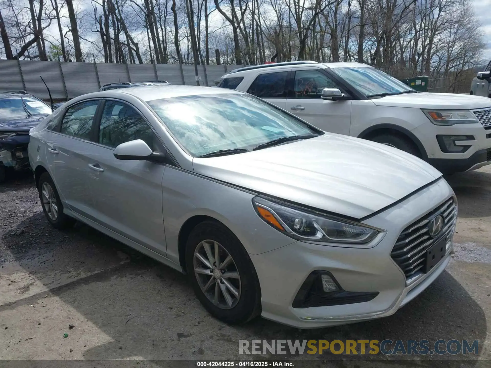 1 Photograph of a damaged car 5NPE24AF6KH815674 HYUNDAI SONATA 2019