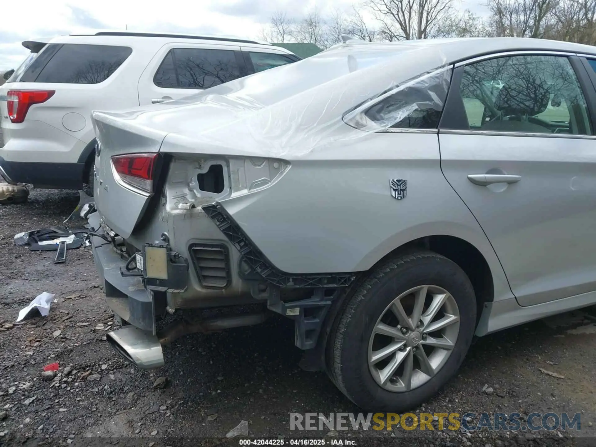 19 Photograph of a damaged car 5NPE24AF6KH815674 HYUNDAI SONATA 2019