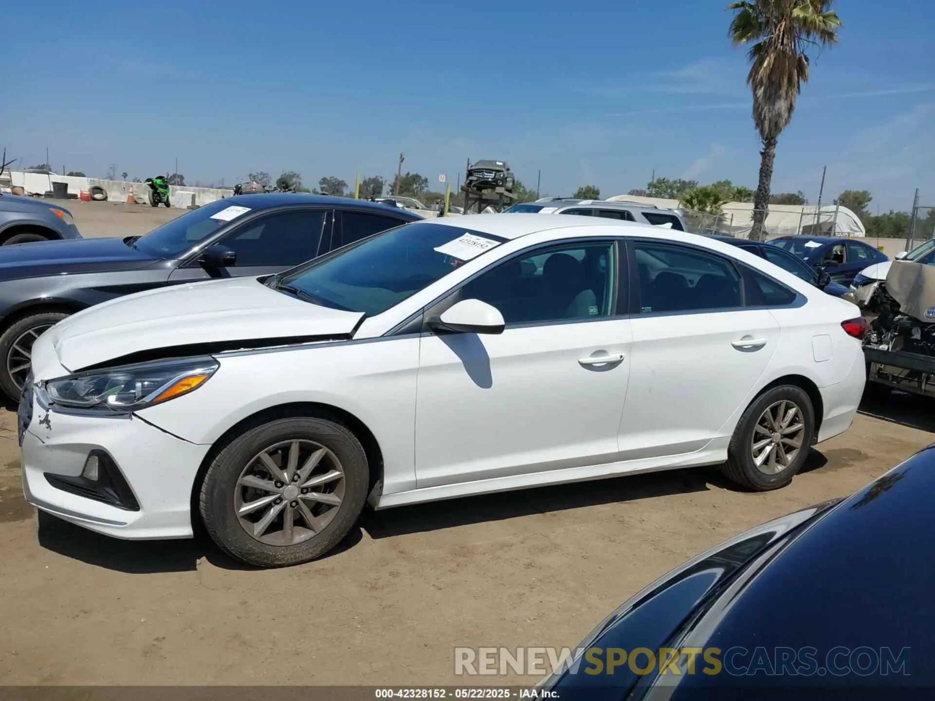 14 Photograph of a damaged car 5NPE24AF7KH736238 HYUNDAI SONATA 2019