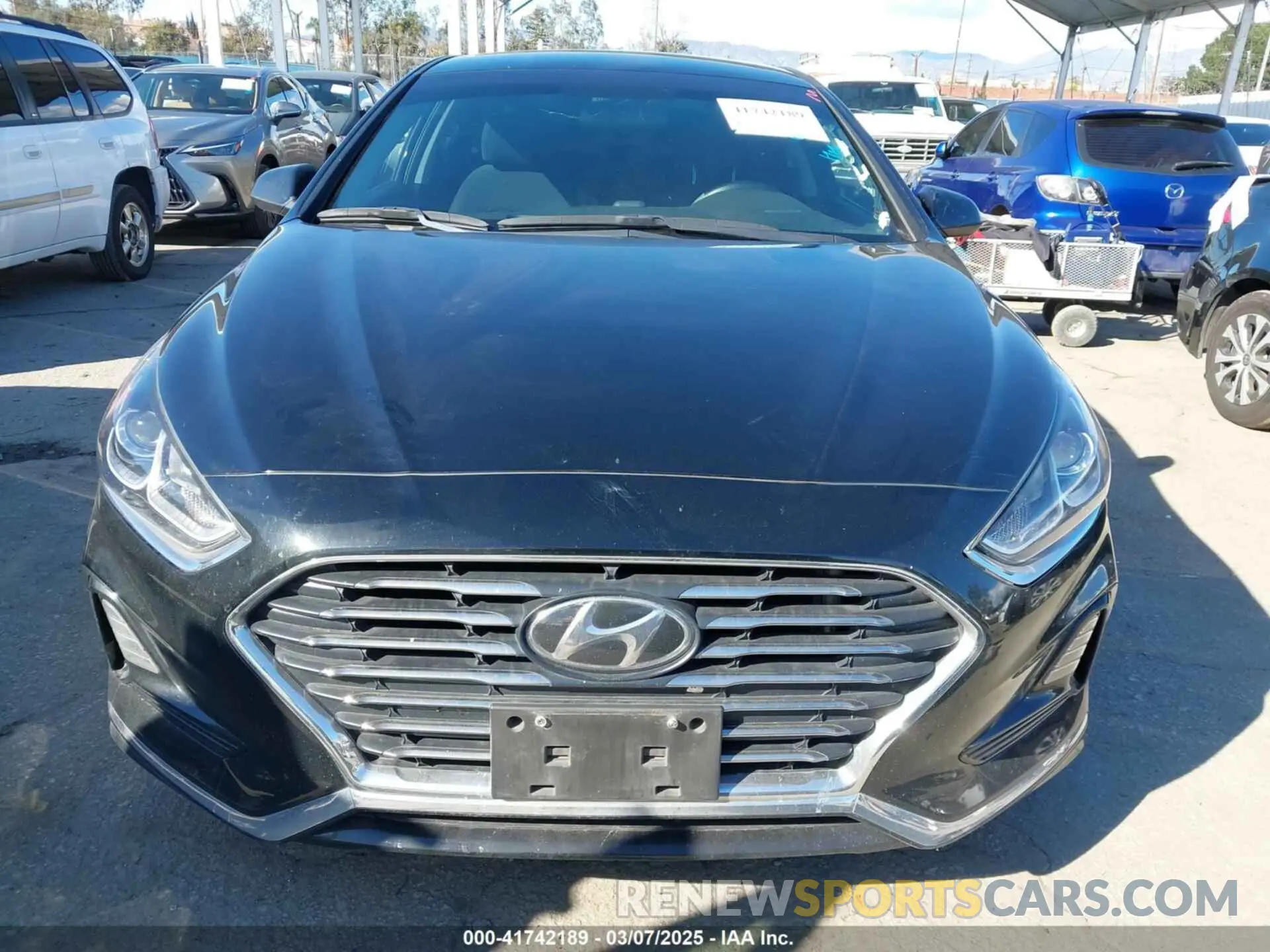 12 Photograph of a damaged car 5NPE24AF7KH820155 HYUNDAI SONATA 2019