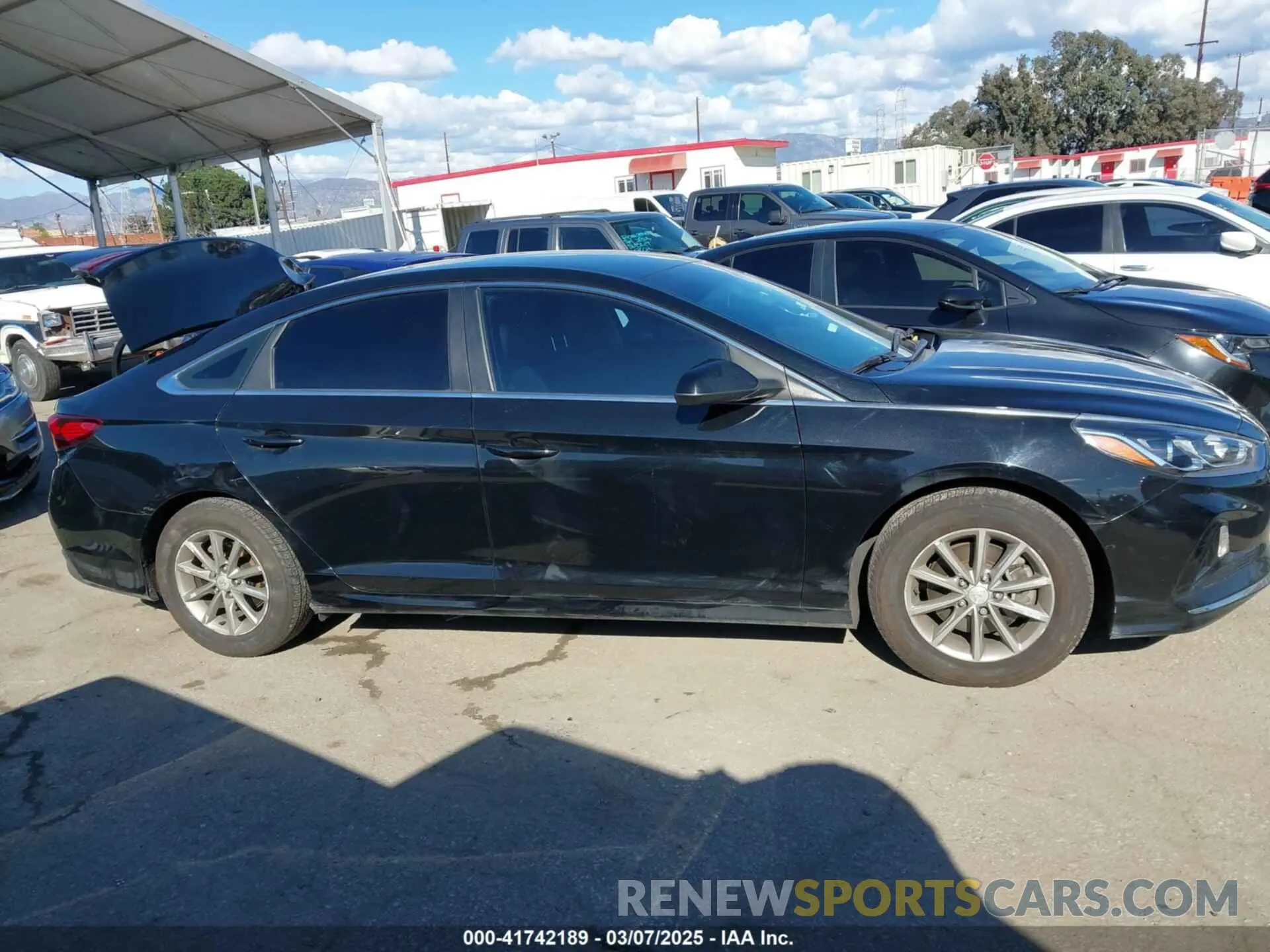 13 Photograph of a damaged car 5NPE24AF7KH820155 HYUNDAI SONATA 2019