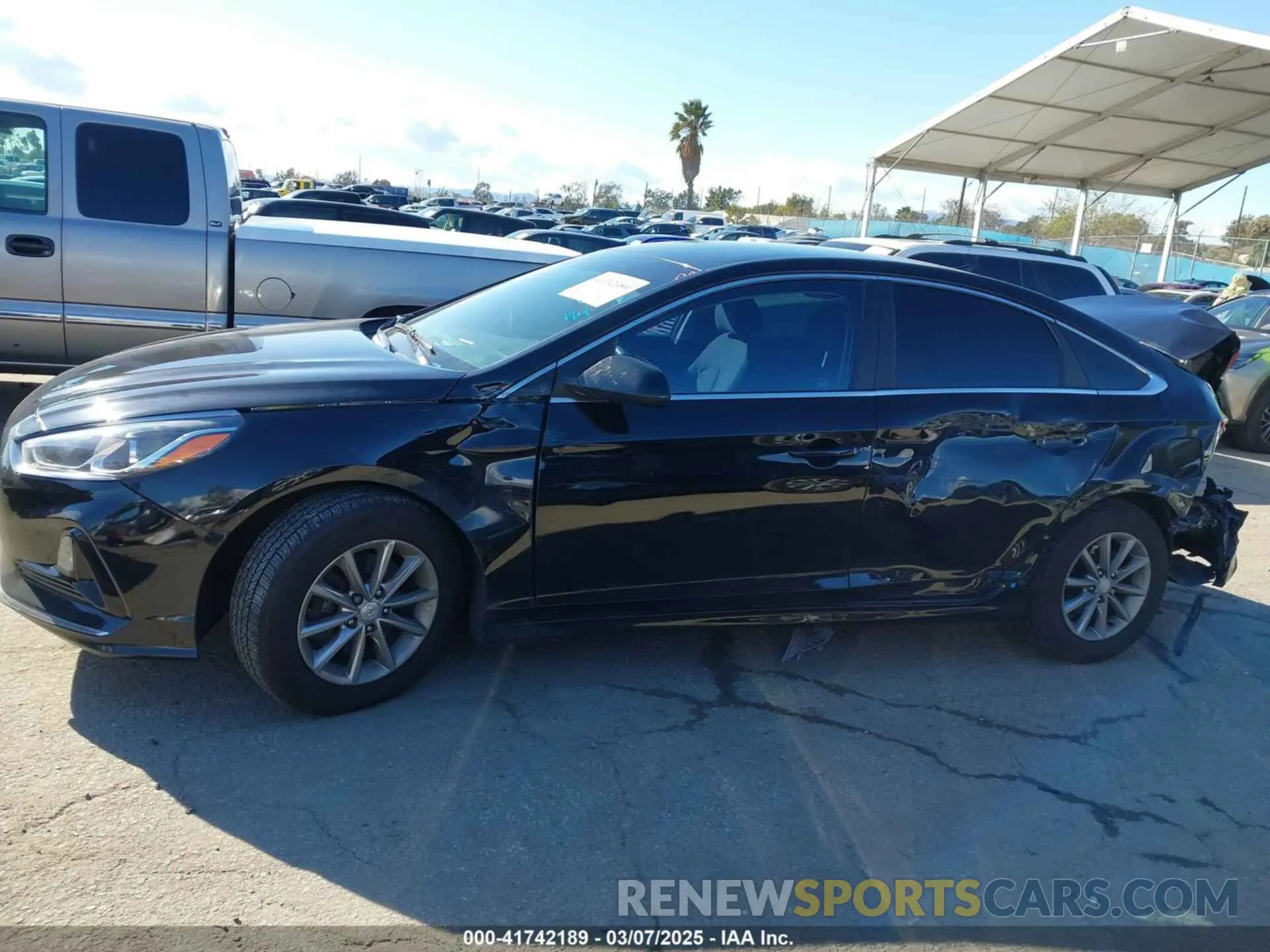 14 Photograph of a damaged car 5NPE24AF7KH820155 HYUNDAI SONATA 2019