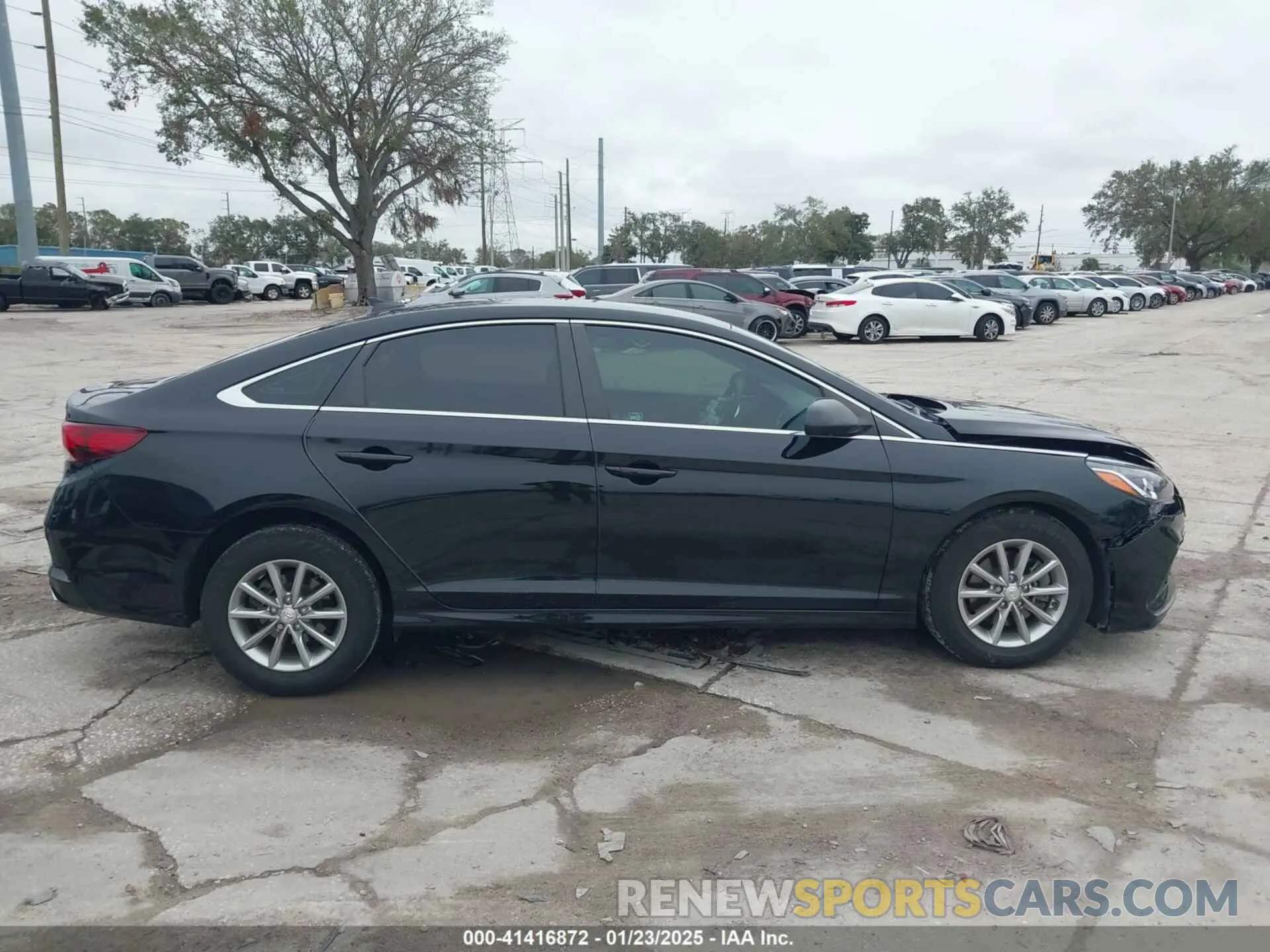 13 Фотография поврежденного автомобиля 5NPE24AF8KH735907 HYUNDAI SONATA 2019