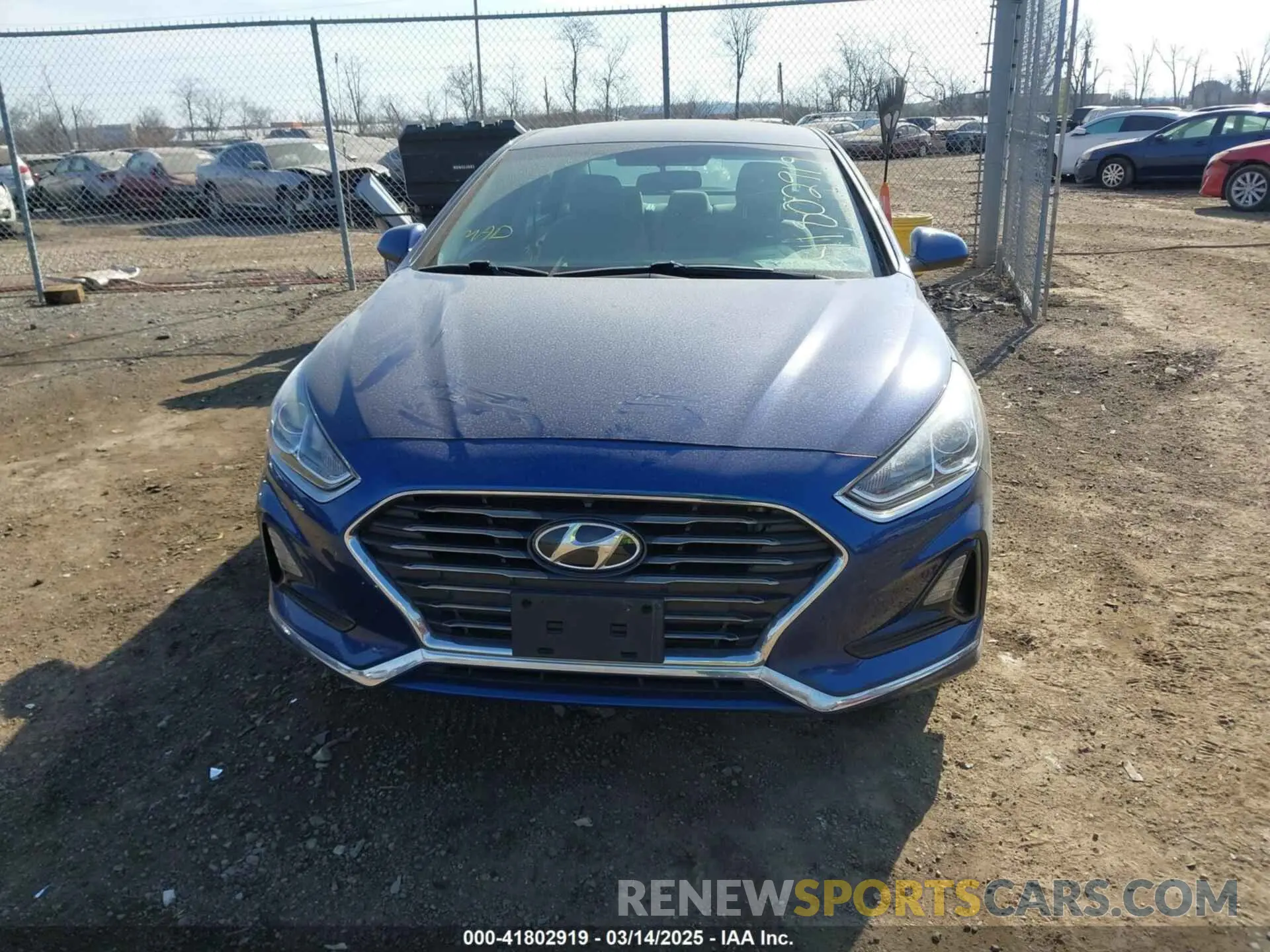 12 Photograph of a damaged car 5NPE24AF9KH791676 HYUNDAI SONATA 2019