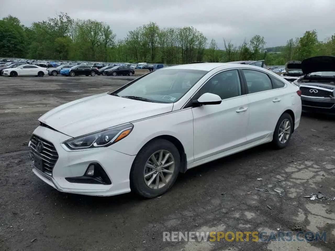1 Photograph of a damaged car 5NPE24AF9KH805088 HYUNDAI SONATA 2019
