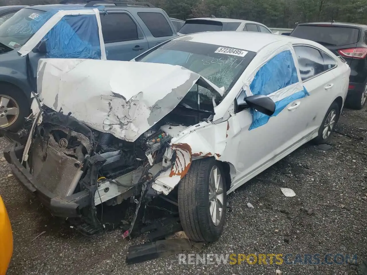 1 Photograph of a damaged car 5NPE24AF9KH805141 HYUNDAI SONATA 2019