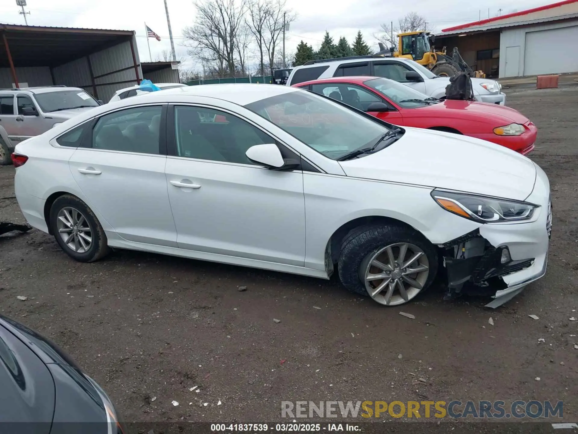 12 Photograph of a damaged car 5NPE24AFXKH730983 HYUNDAI SONATA 2019
