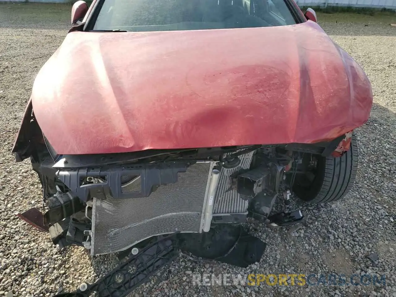 13 Photograph of a damaged car 5NPE34AB7KH766270 HYUNDAI SONATA 2019