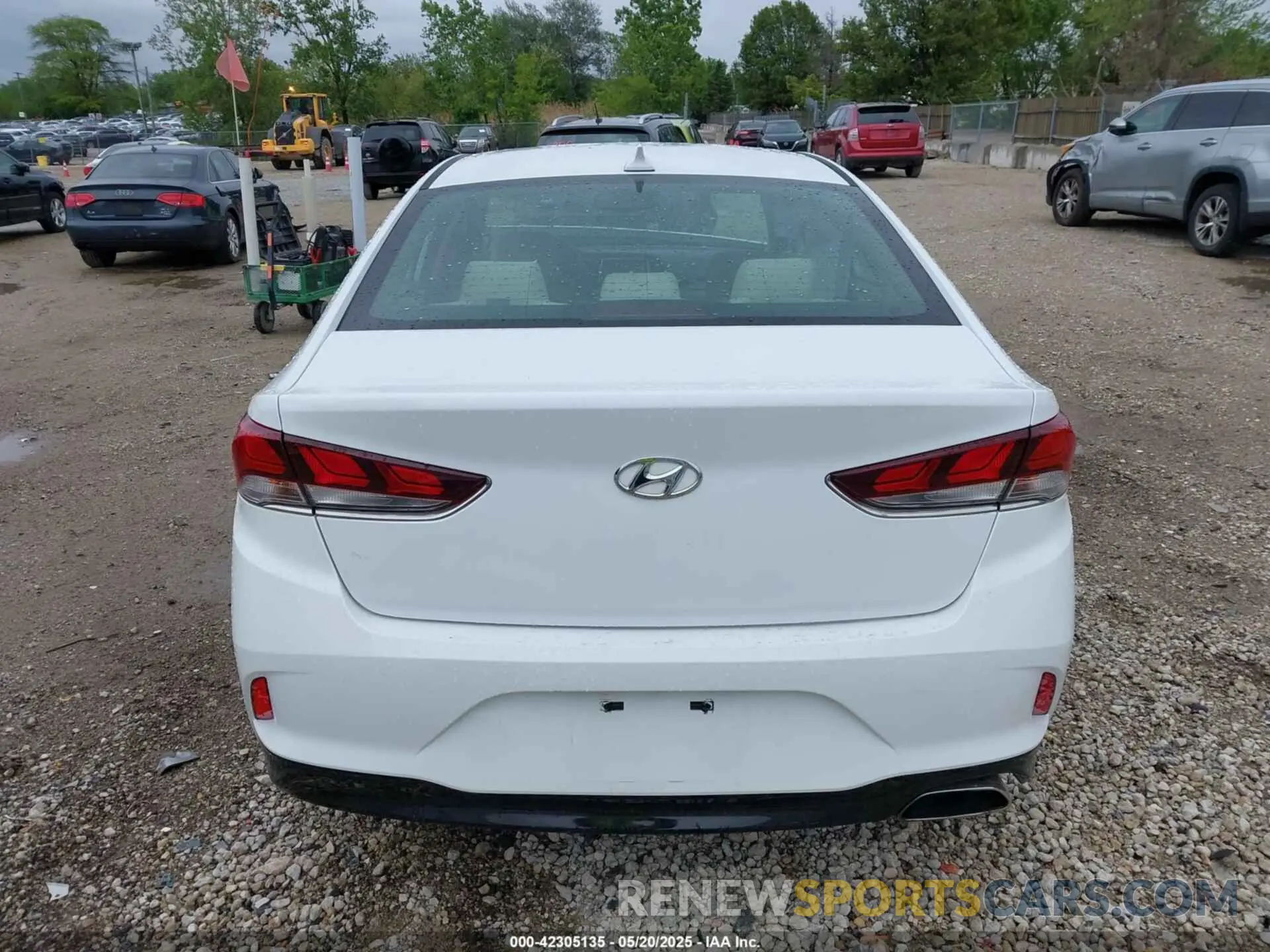 17 Photograph of a damaged car 5NPE34AF0KH734540 HYUNDAI SONATA 2019
