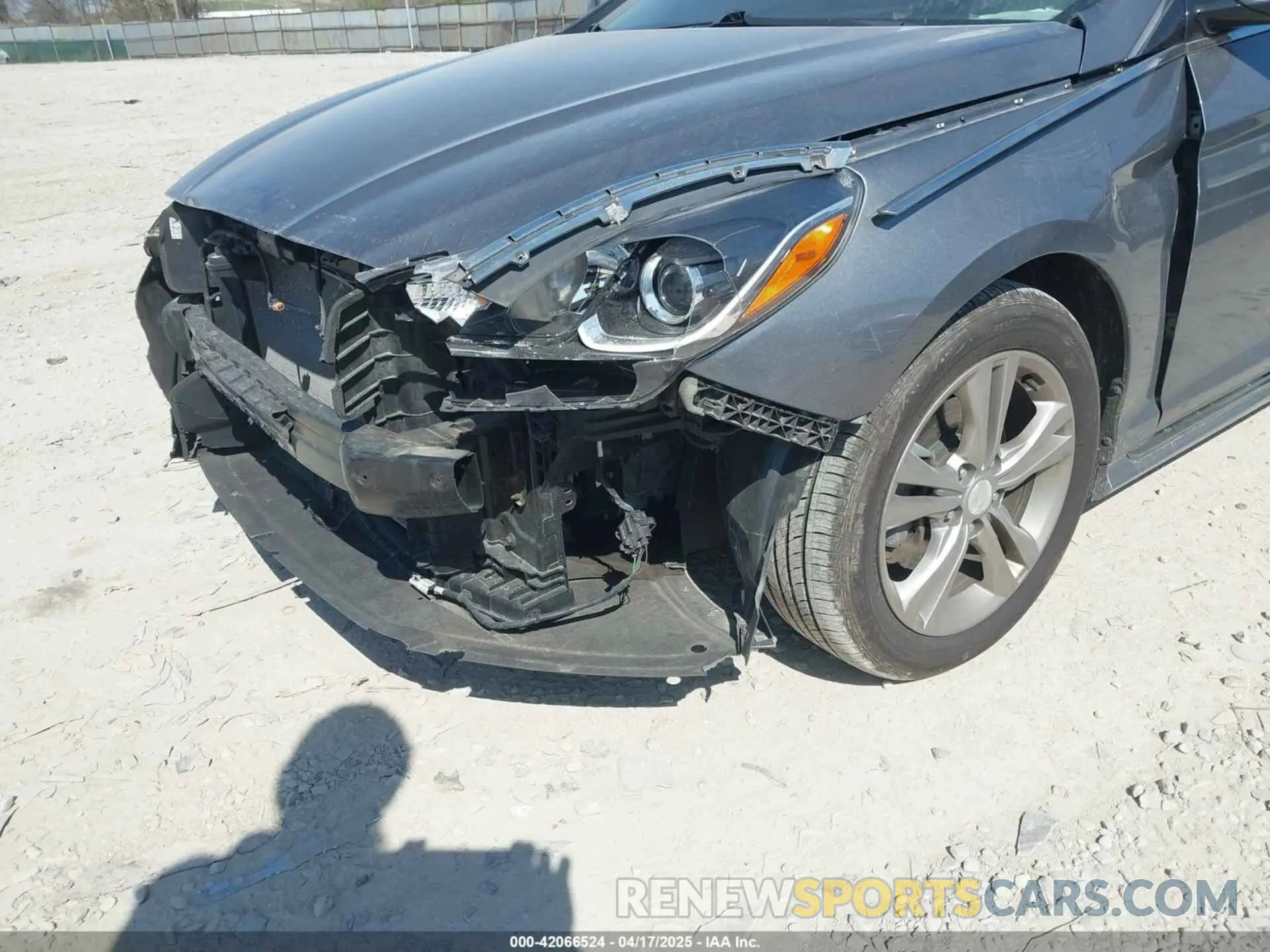 6 Photograph of a damaged car 5NPE34AF2KH737813 HYUNDAI SONATA 2019