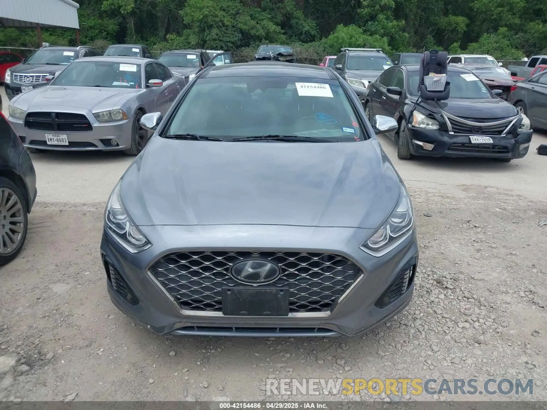 12 Фотография поврежденного автомобиля 5NPE34AF2KH743501 HYUNDAI SONATA 2019