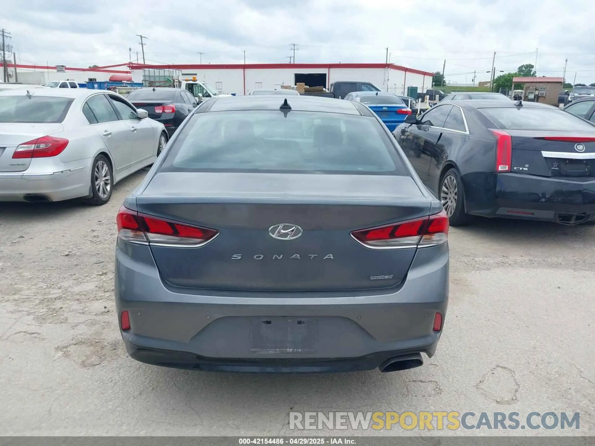 16 Фотография поврежденного автомобиля 5NPE34AF2KH743501 HYUNDAI SONATA 2019