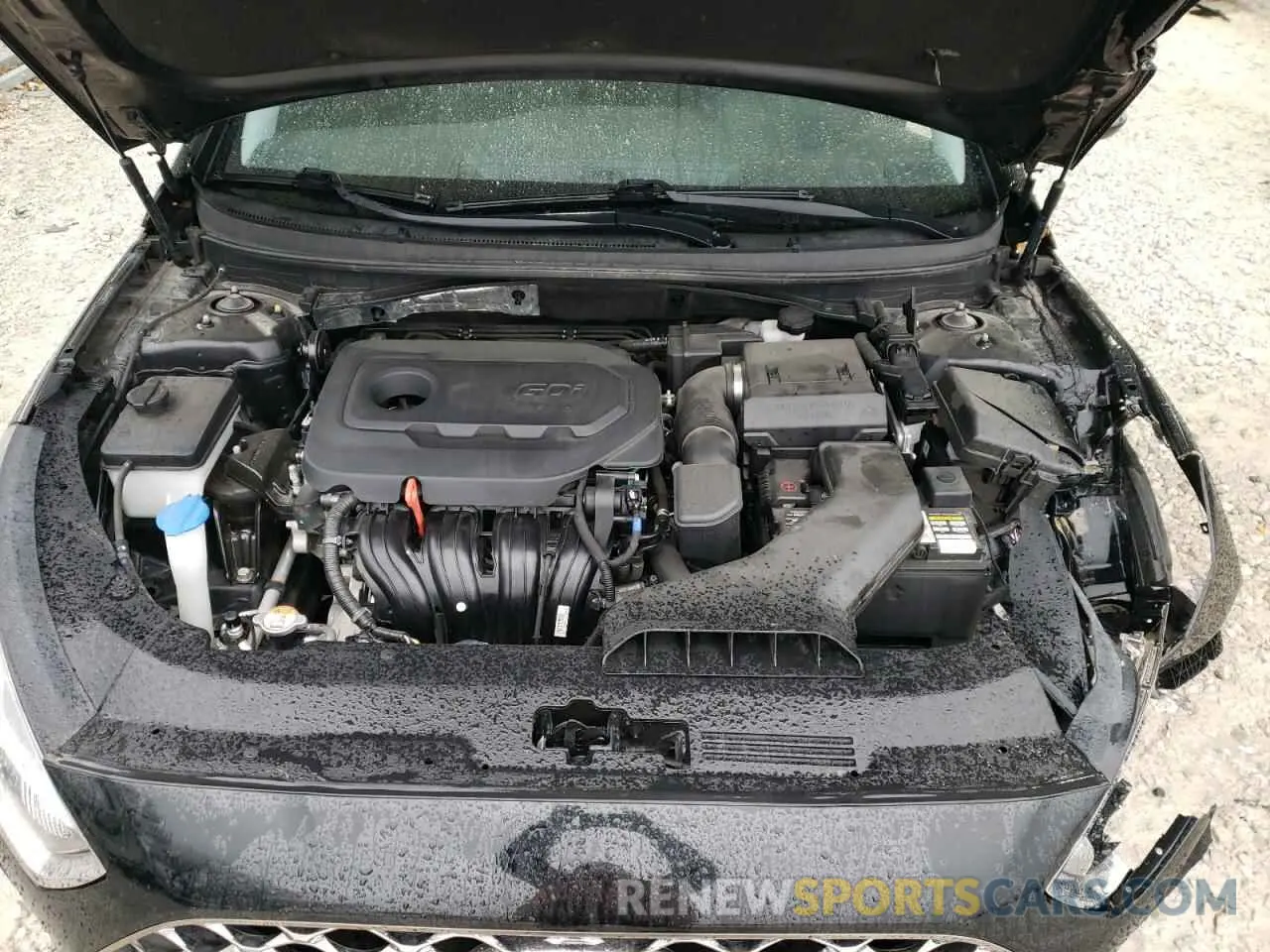 12 Photograph of a damaged car 5NPE34AF6KH732341 HYUNDAI SONATA 2019