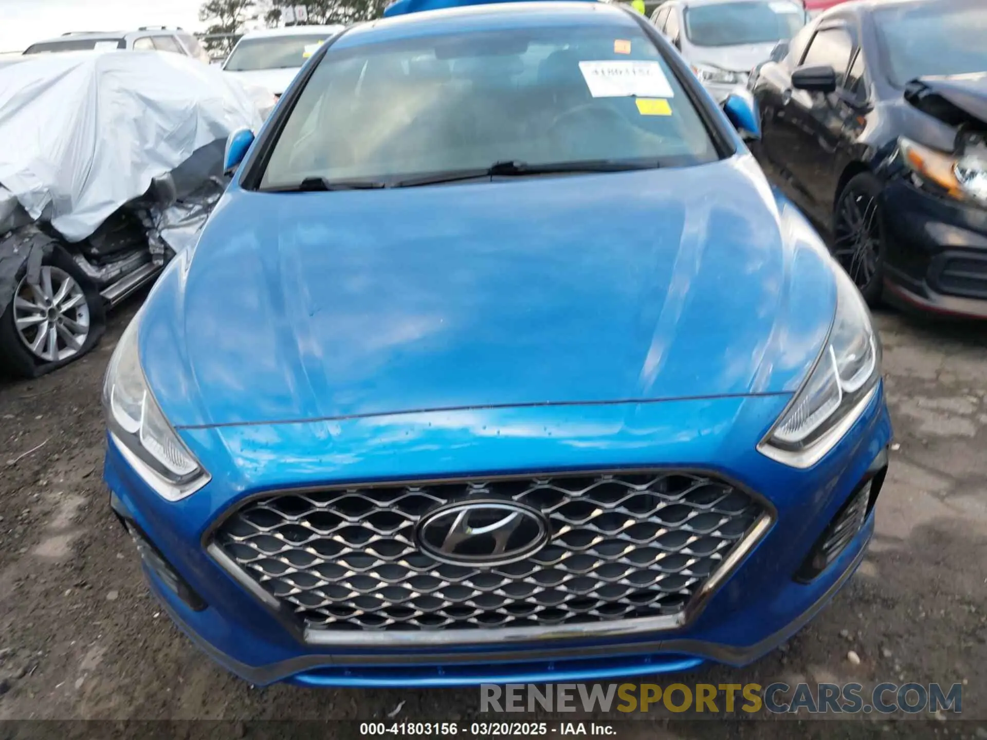 13 Photograph of a damaged car 5NPE34AF6KH736888 HYUNDAI SONATA 2019