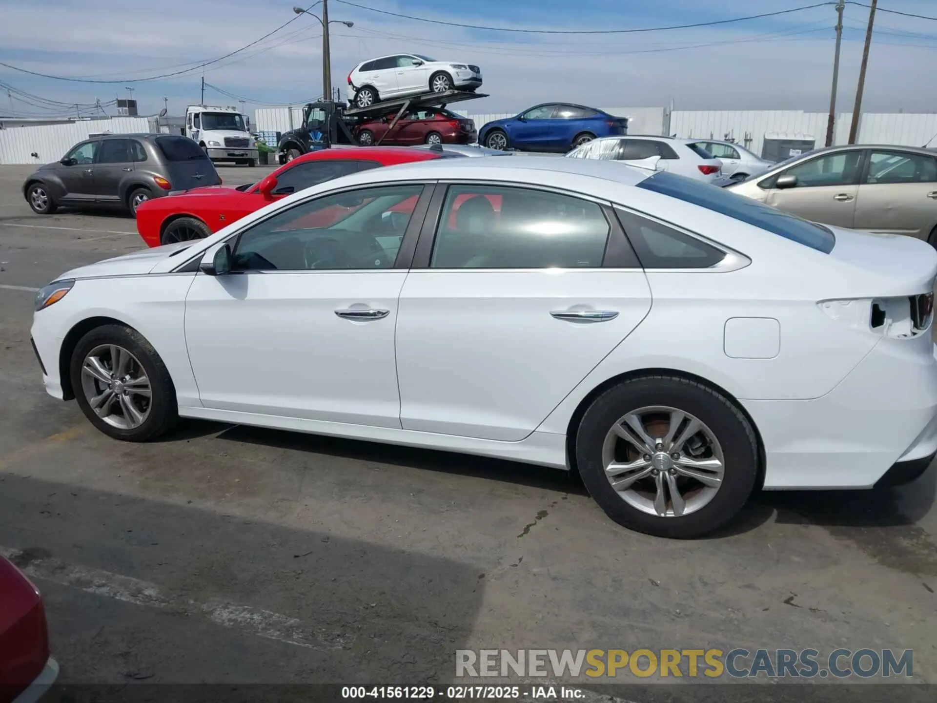 14 Photograph of a damaged car 5NPE34AF6KH786609 HYUNDAI SONATA 2019