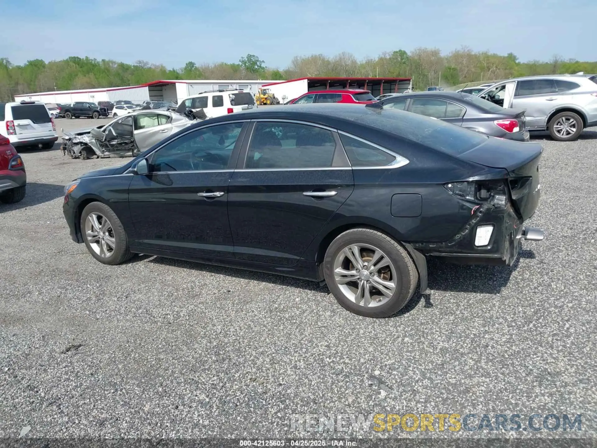 14 Photograph of a damaged car 5NPE34AF8KH739419 HYUNDAI SONATA 2019