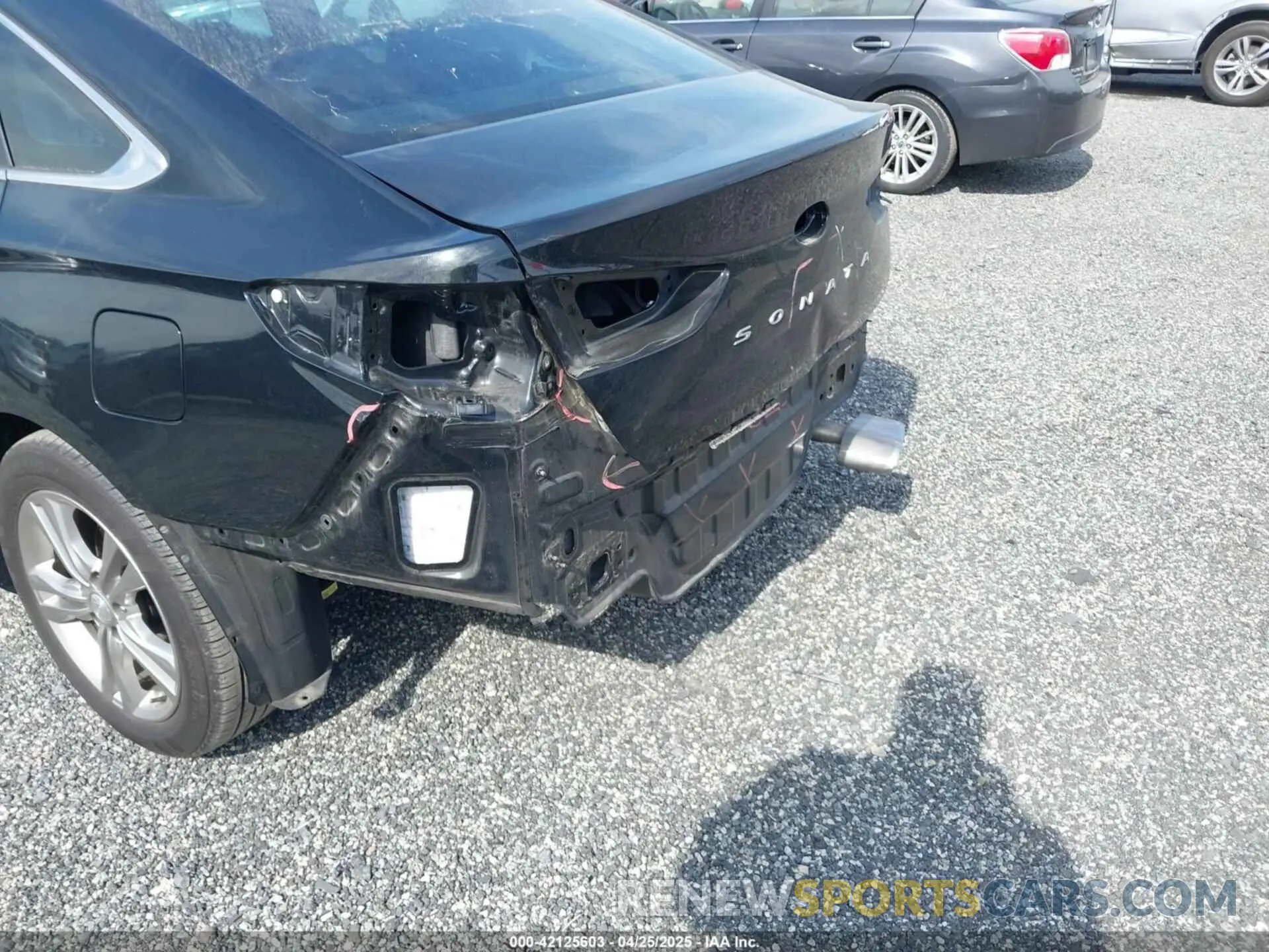 6 Photograph of a damaged car 5NPE34AF8KH739419 HYUNDAI SONATA 2019