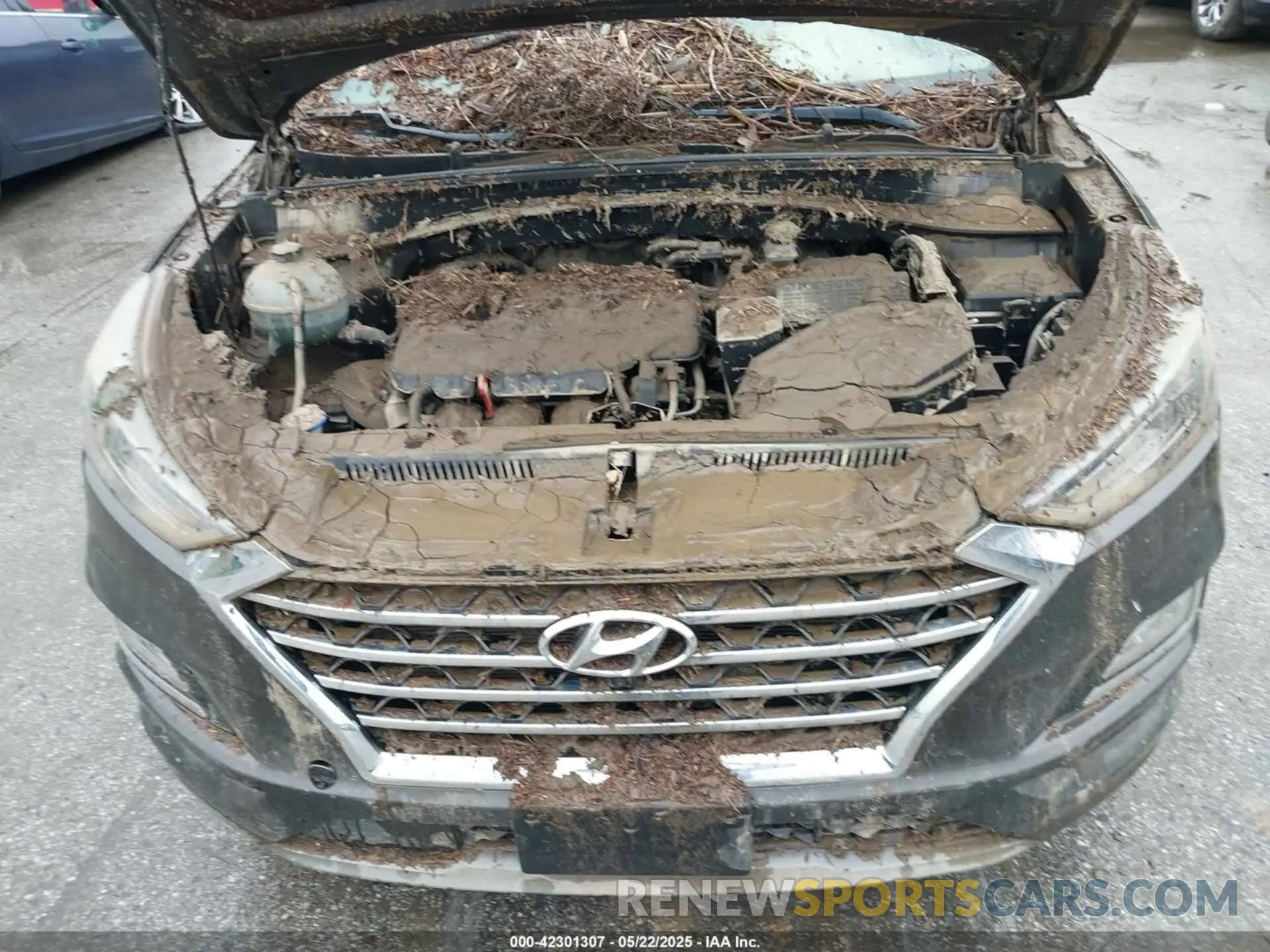 10 Фотография поврежденного автомобиля KM8J33AL5KU904519 HYUNDAI TUCSON 2019