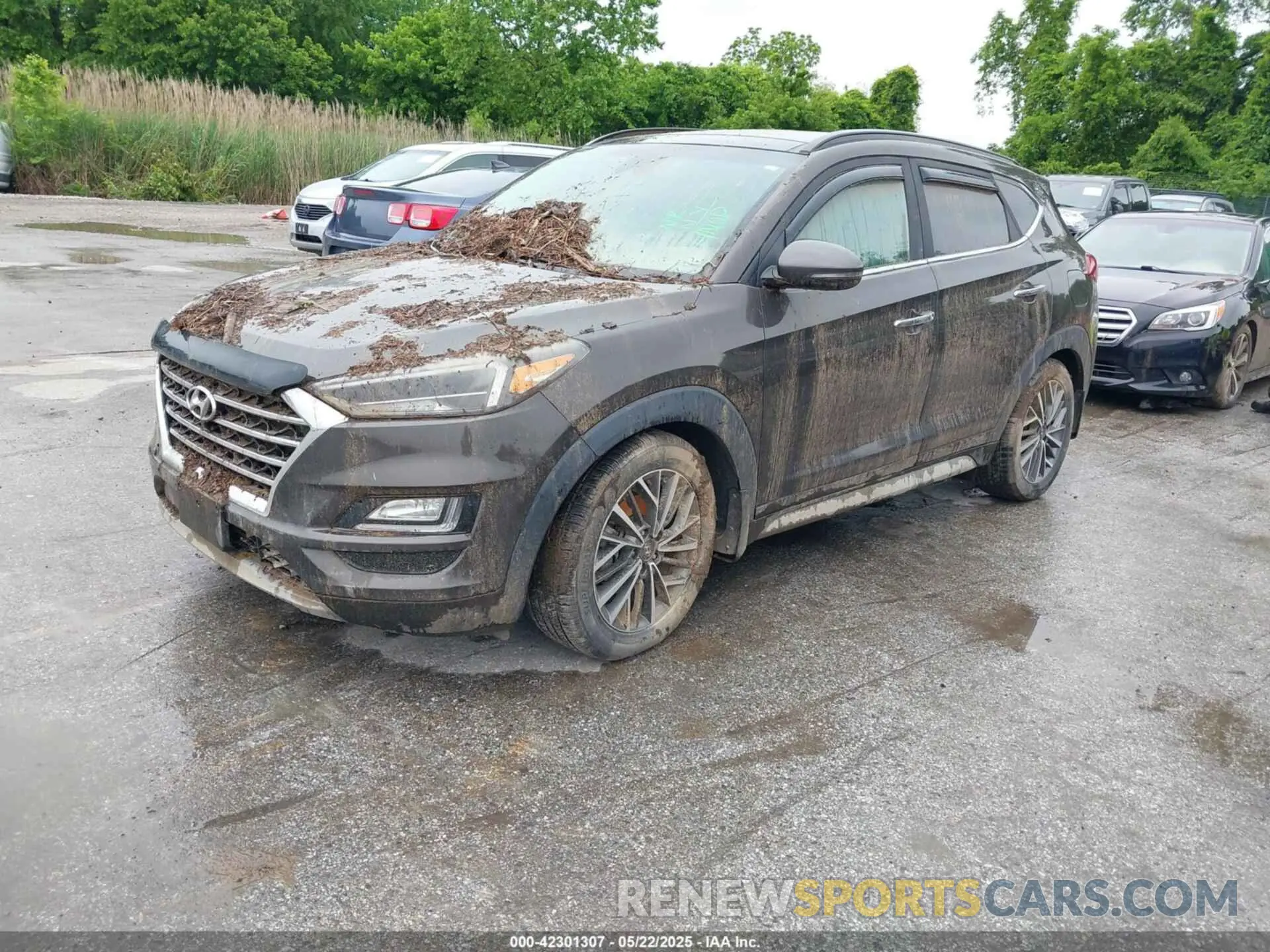 2 Фотография поврежденного автомобиля KM8J33AL5KU904519 HYUNDAI TUCSON 2019