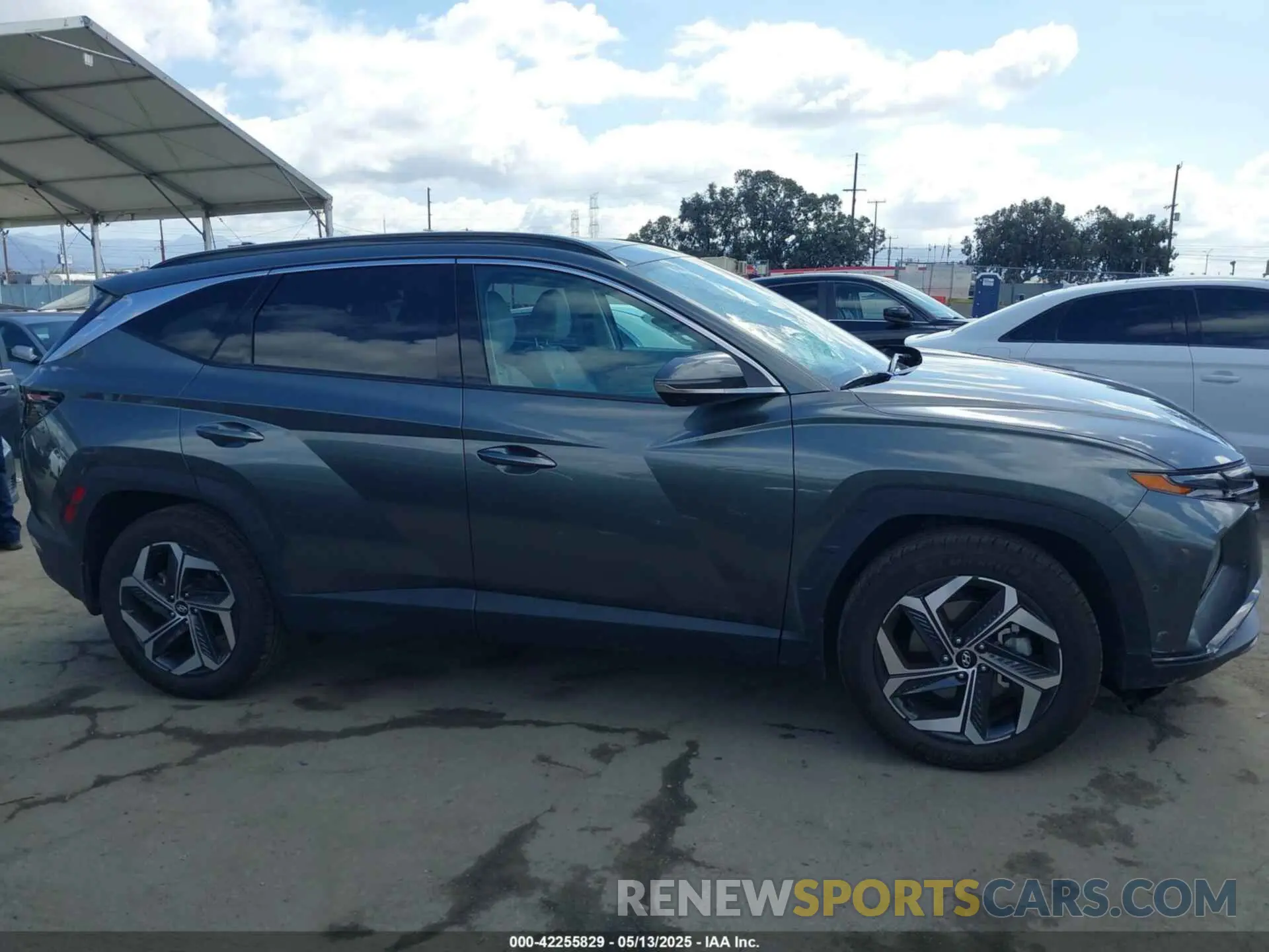 13 Photograph of a damaged car 5NMJECAE1NH113416 HYUNDAI TUCSON 2022