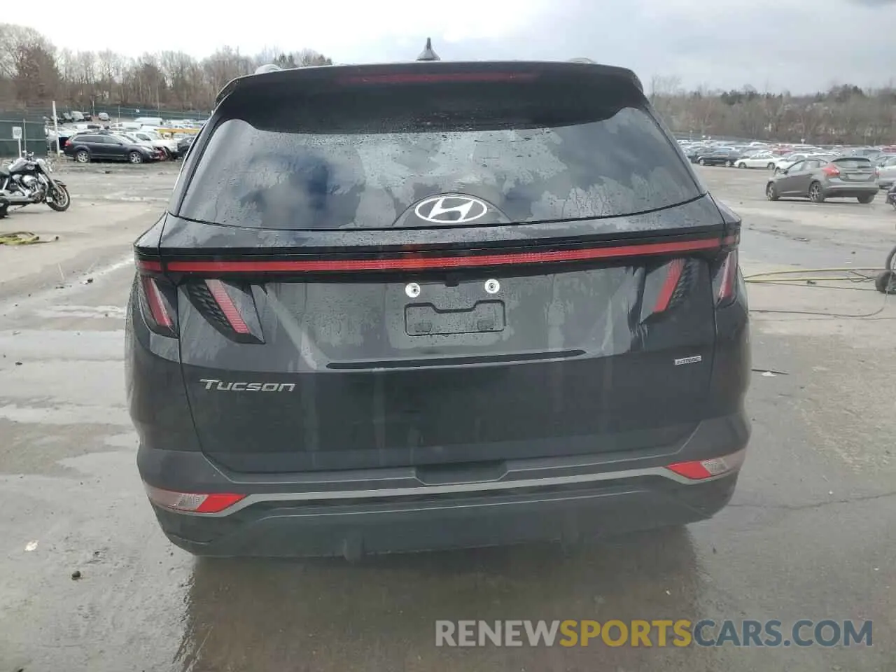 6 Photograph of a damaged car 5NMJBCAE2PH270674 HYUNDAI TUCSON 2023
