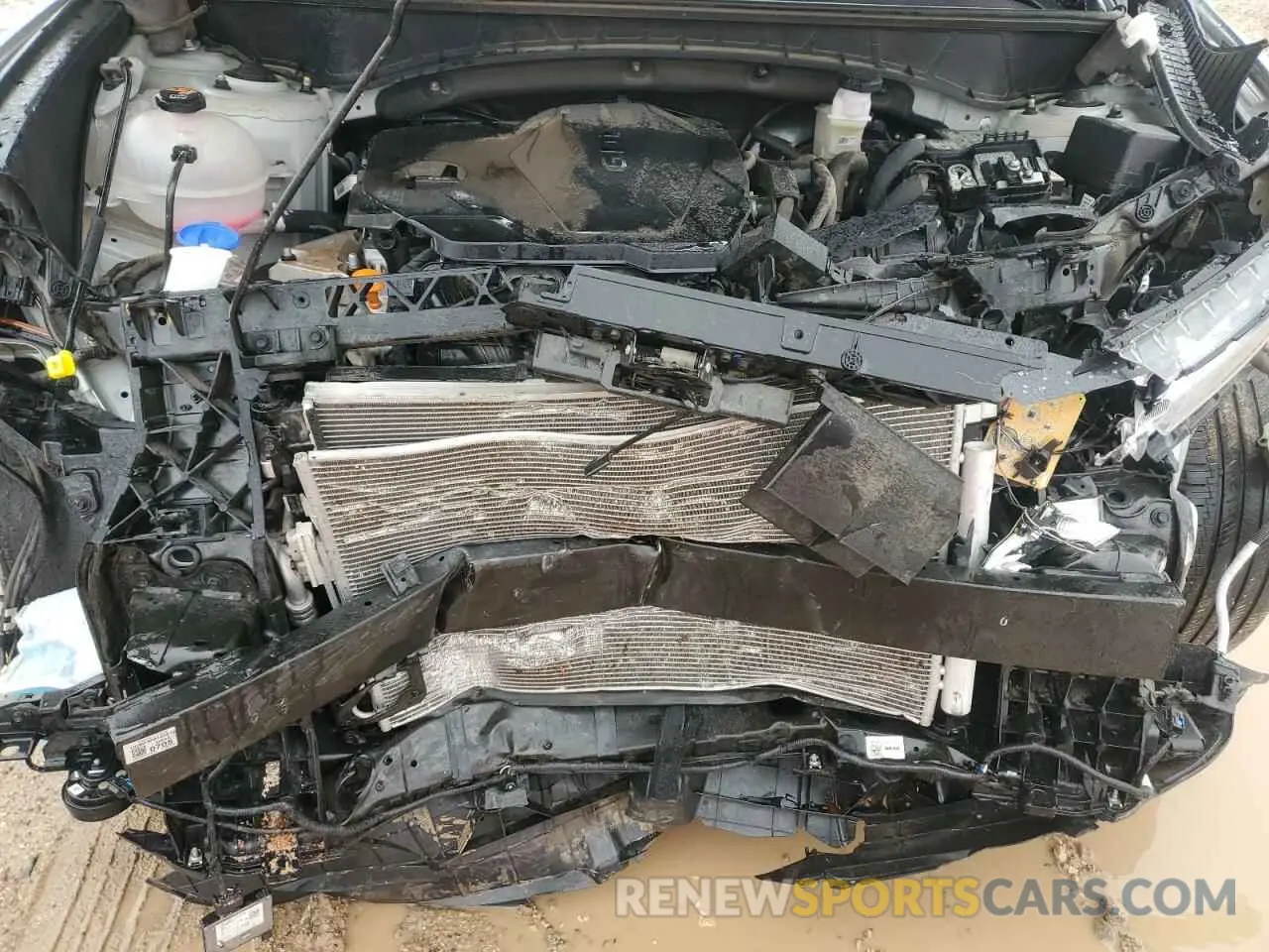 13 Фотография поврежденного автомобиля 5NMJB3DE0RH318462 HYUNDAI TUCSON 2024