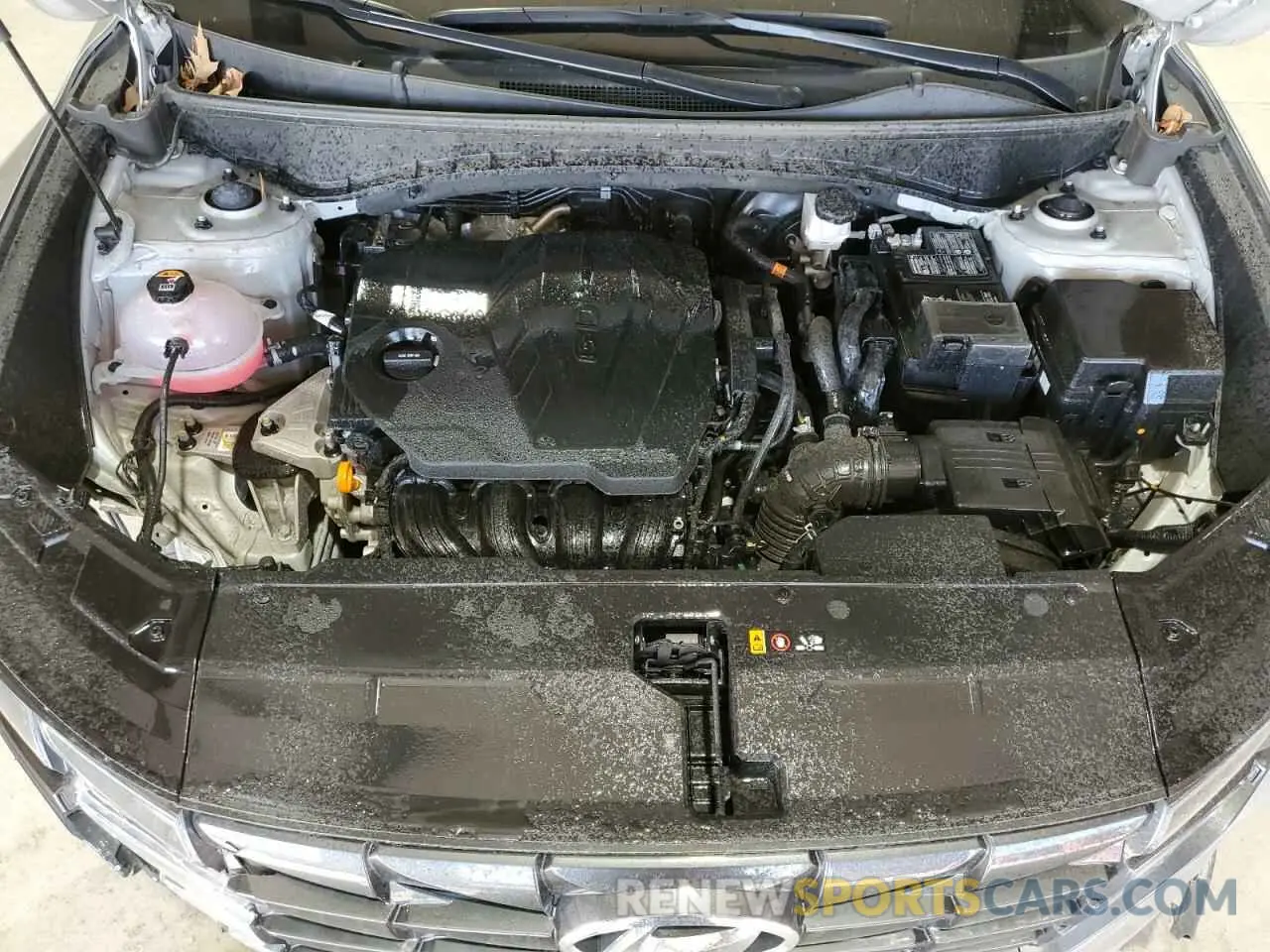 12 Фотография поврежденного автомобиля 5NMJBCDE2RH299400 HYUNDAI TUCSON 2024