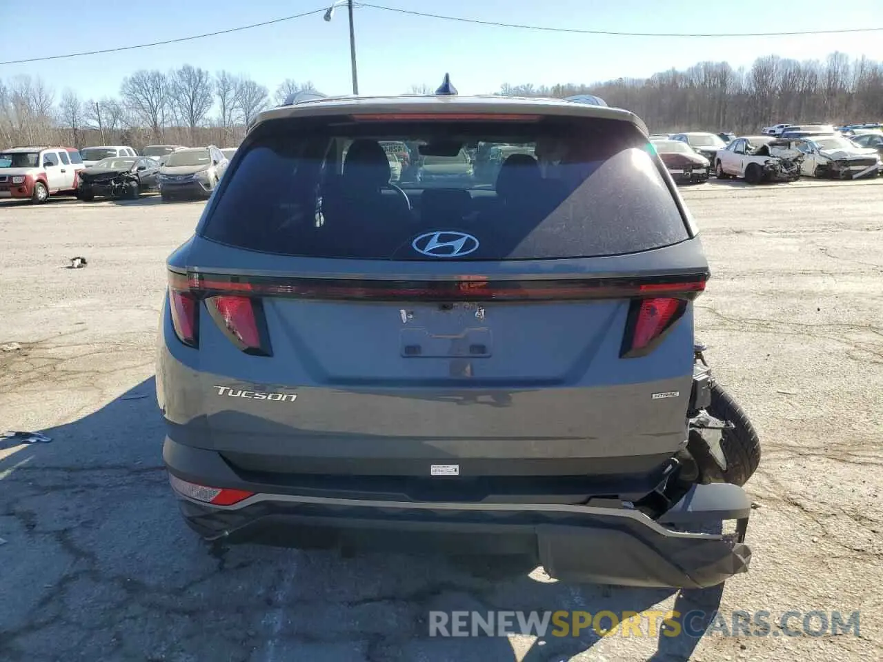6 Photograph of a damaged car 5NMJBCDE9RH425767 HYUNDAI TUCSON 2024