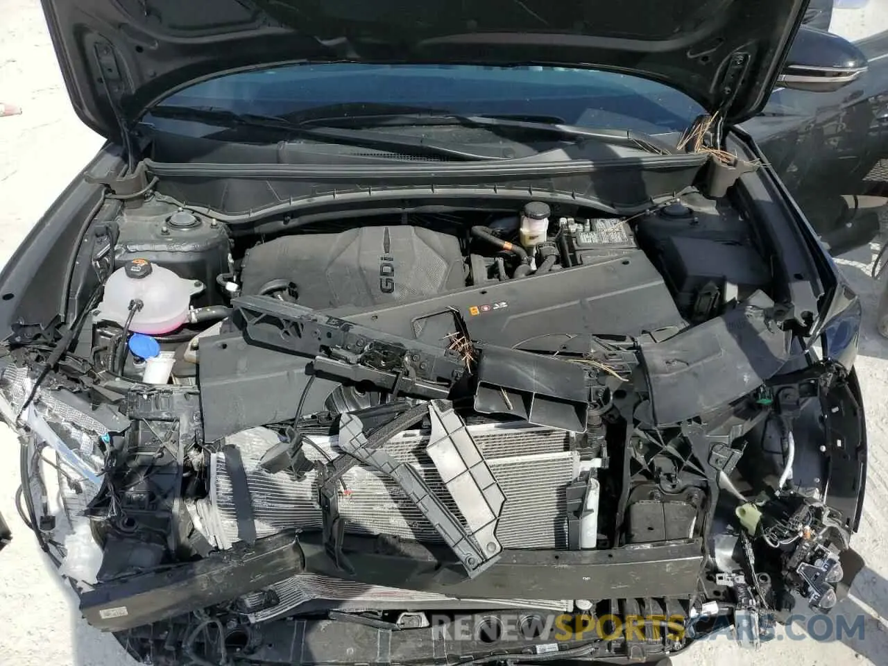 13 Photograph of a damaged car 5NMJE3DE7RH408666 HYUNDAI TUCSON 2024