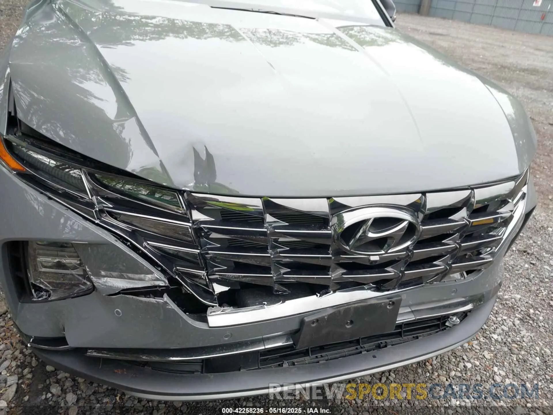 6 Photograph of a damaged car 5NMJECDE0RH419167 HYUNDAI TUCSON 2024