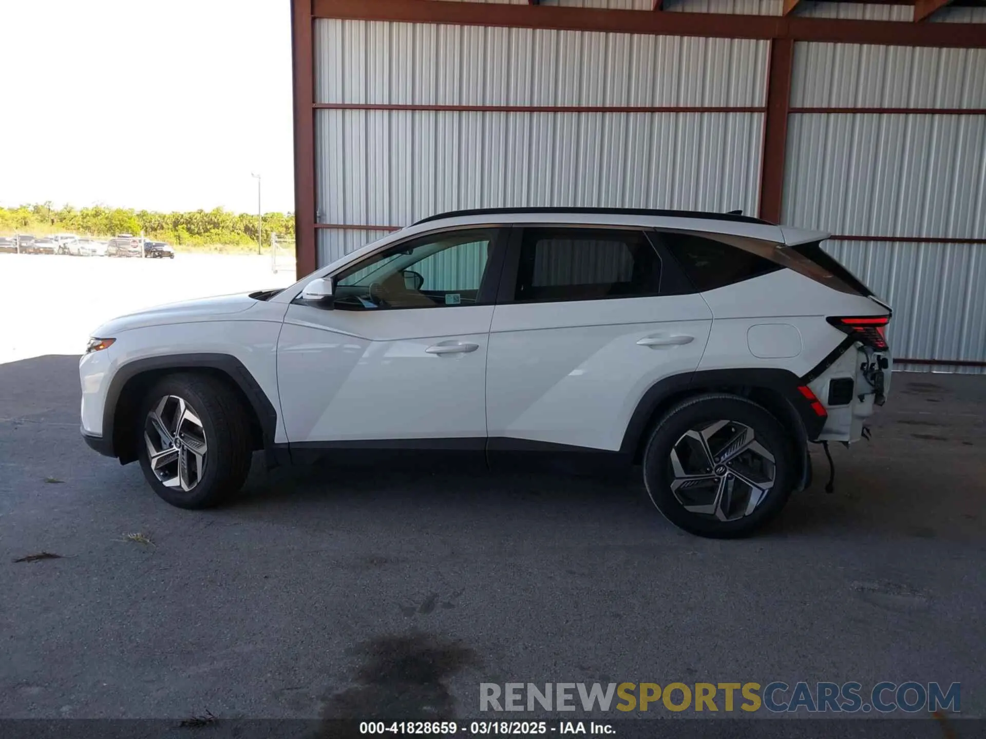 14 Photograph of a damaged car 5NMJF3DE7RH397066 HYUNDAI TUCSON 2024