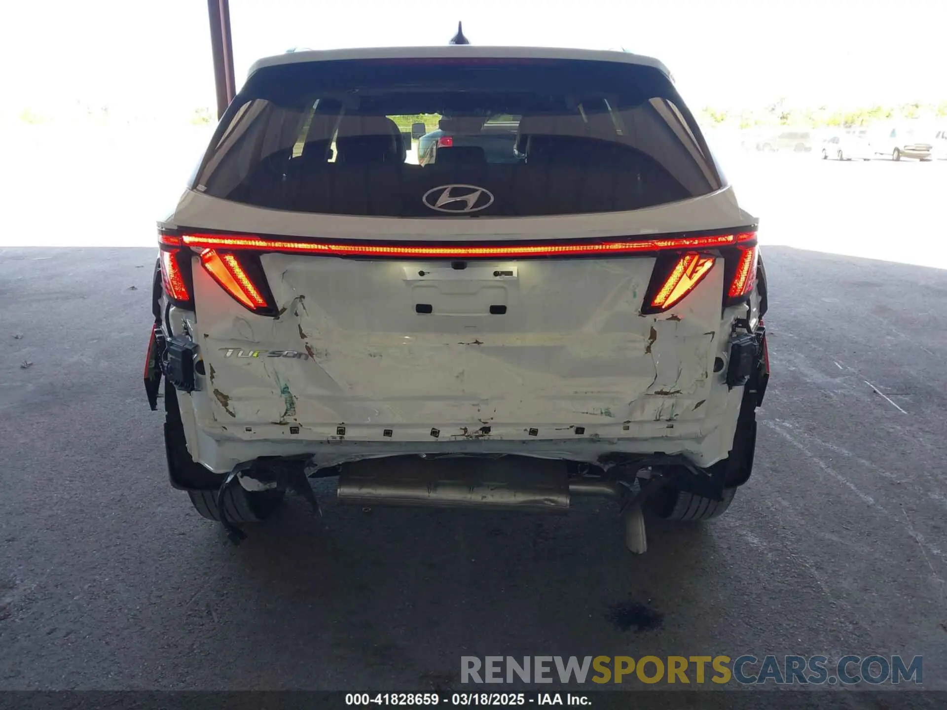 6 Photograph of a damaged car 5NMJF3DE7RH397066 HYUNDAI TUCSON 2024