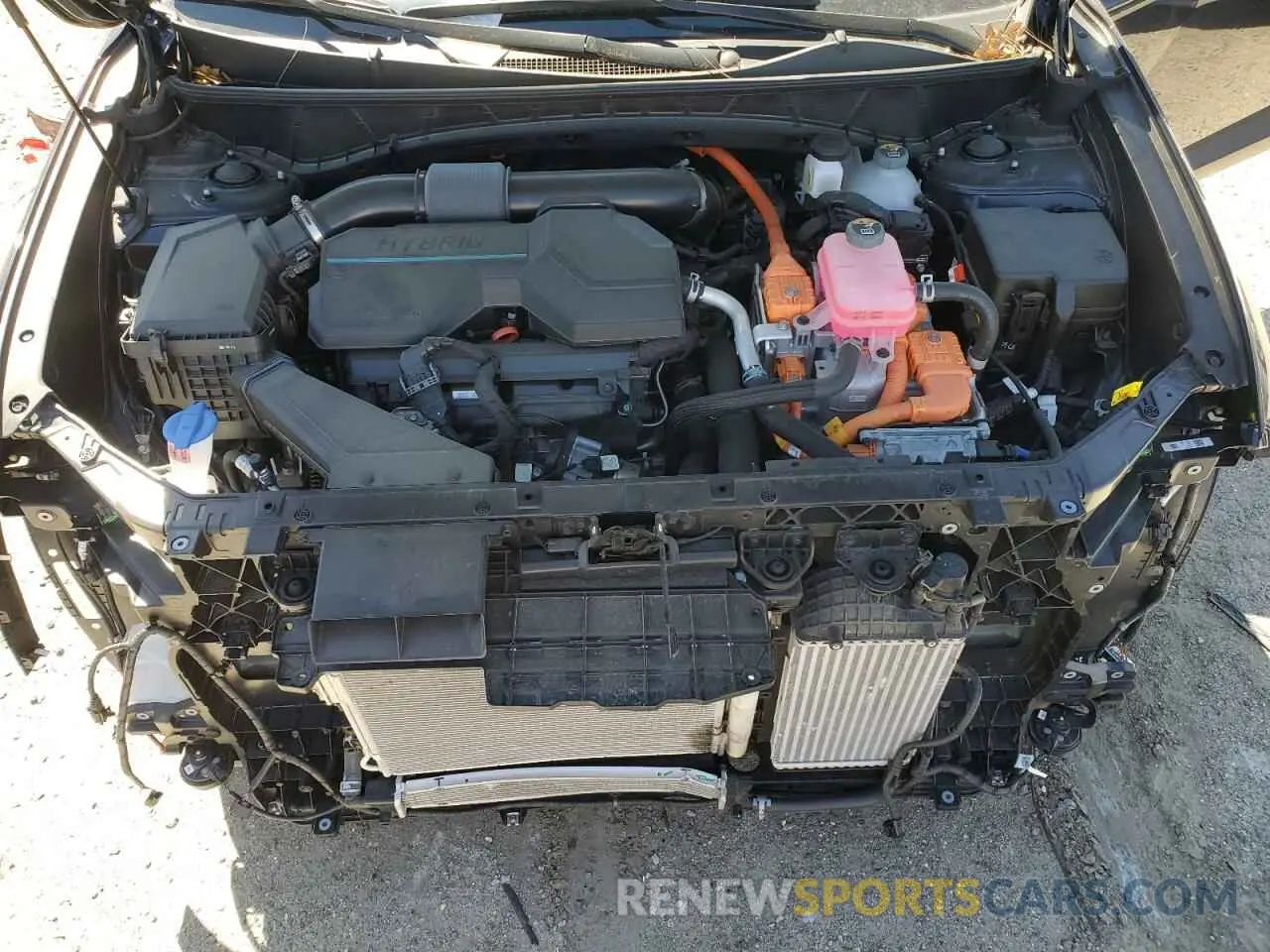 12 Фотография поврежденного автомобиля KM8JECD13RU186242 HYUNDAI TUCSON 2024