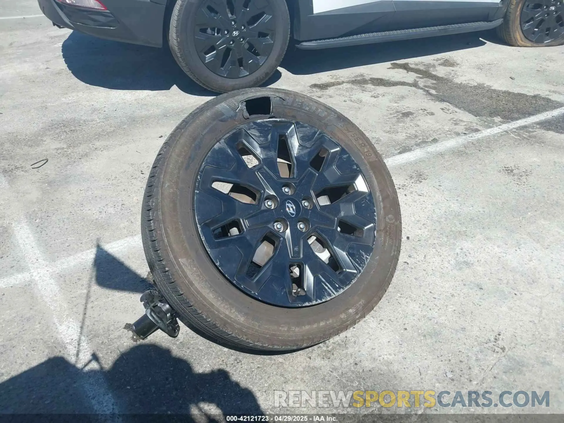 12 Photograph of a damaged car KM8JF3DE0RU313299 HYUNDAI TUCSON 2024