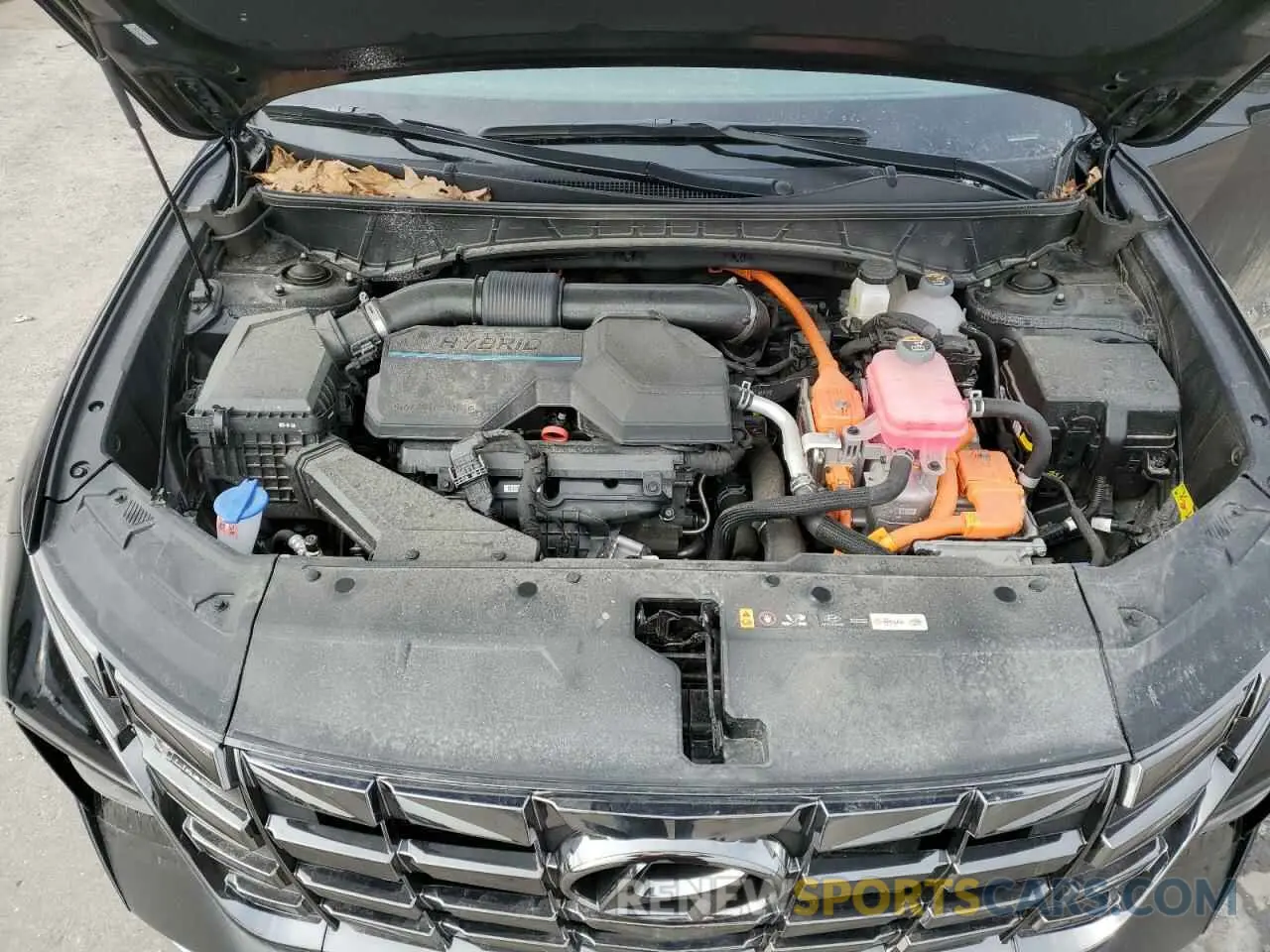 13 Photograph of a damaged car KM8JFCD15RU166216 HYUNDAI TUCSON 2024