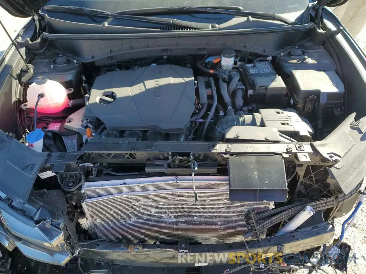 12 Photograph of a damaged car 3KMJE3DE3SE005567 HYUNDAI TUCSON 2025