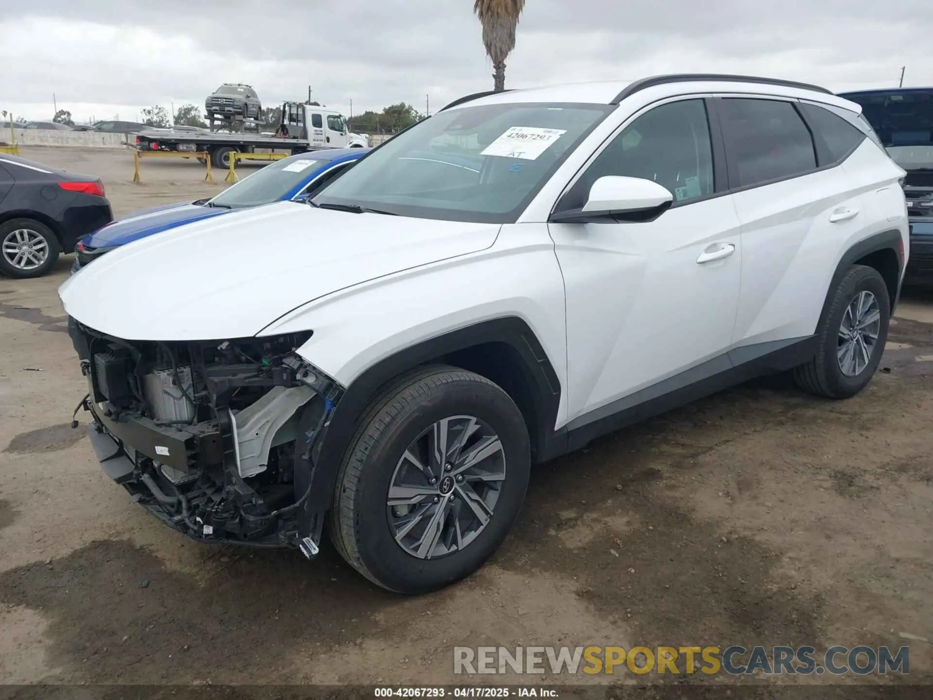 2 Фотография поврежденного автомобиля KM8JBCD11RU205511 HYUNDAI TUCSON HYBRID 2024