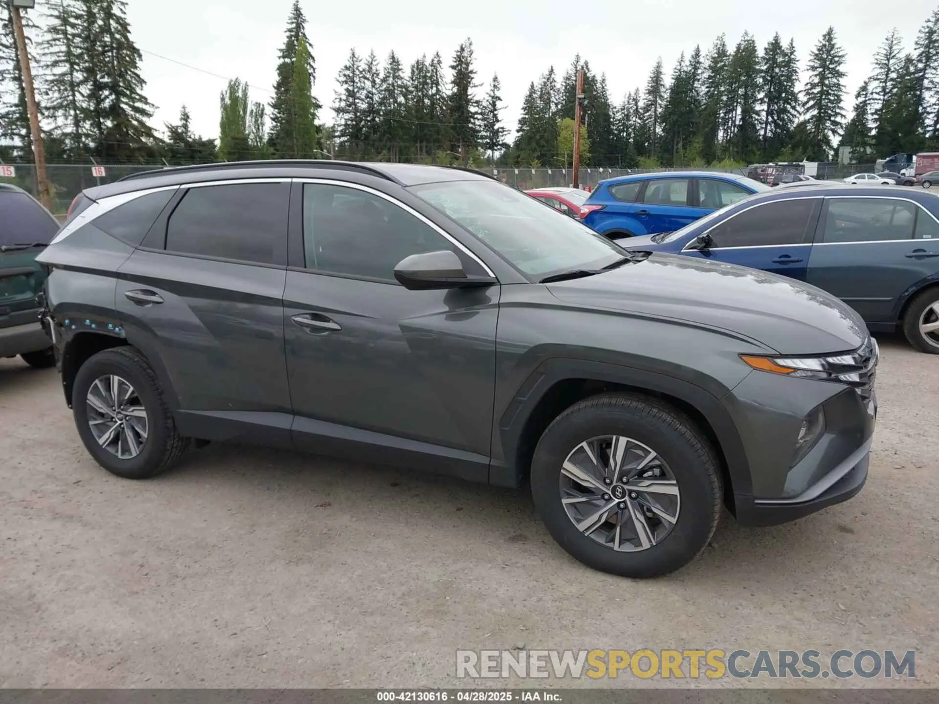14 Photograph of a damaged car KM8JBCD14RU209620 HYUNDAI TUCSON HYBRID 2024