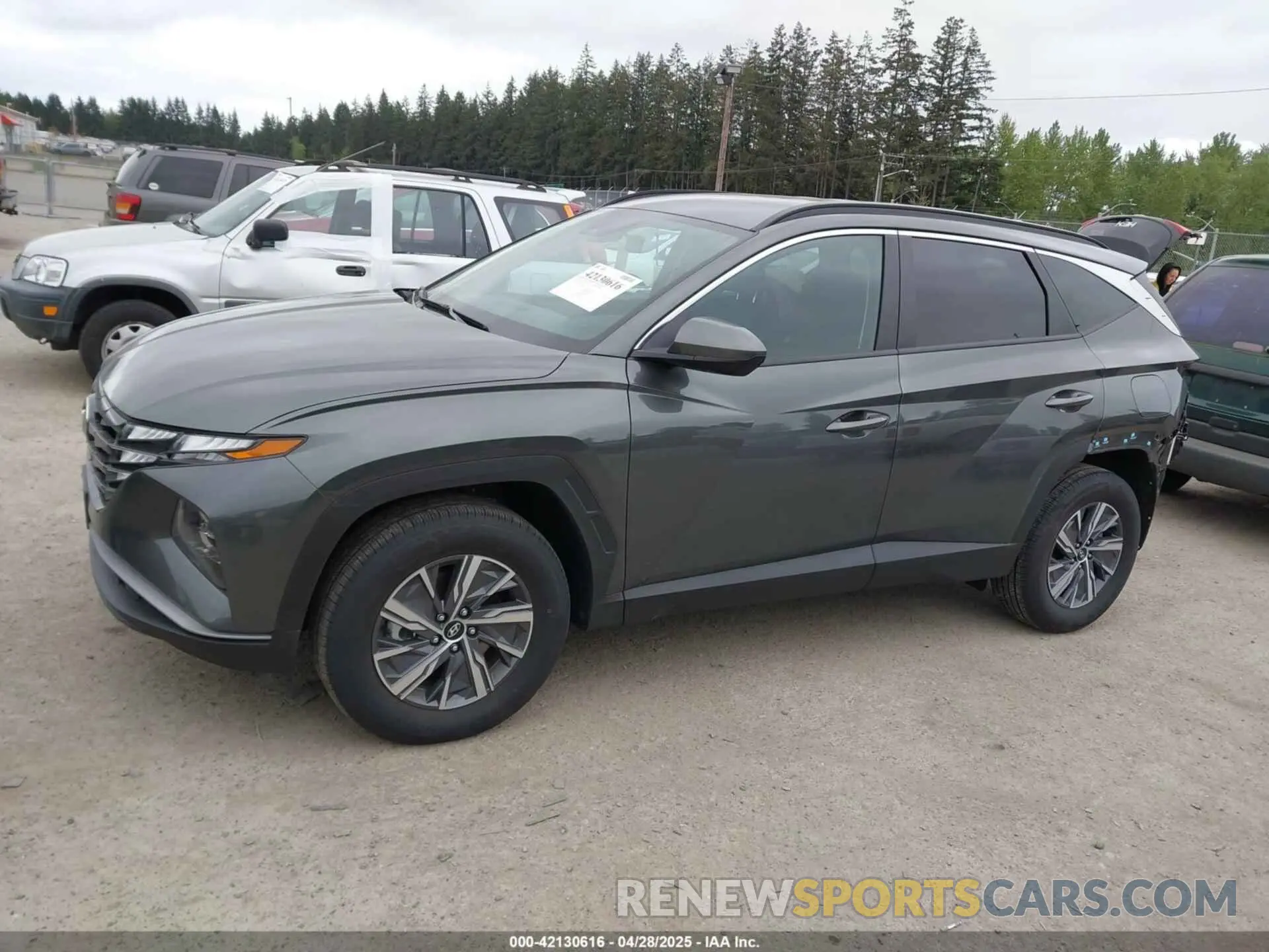 15 Photograph of a damaged car KM8JBCD14RU209620 HYUNDAI TUCSON HYBRID 2024