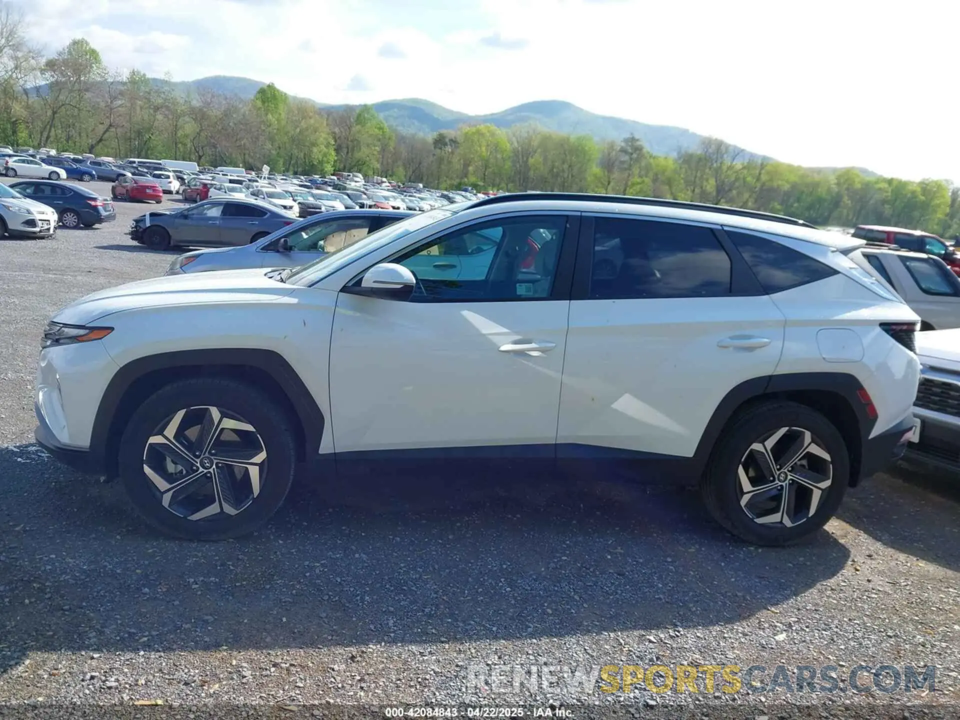 14 Photograph of a damaged car KM8JCCD11RU163872 HYUNDAI TUCSON HYBRID 2024