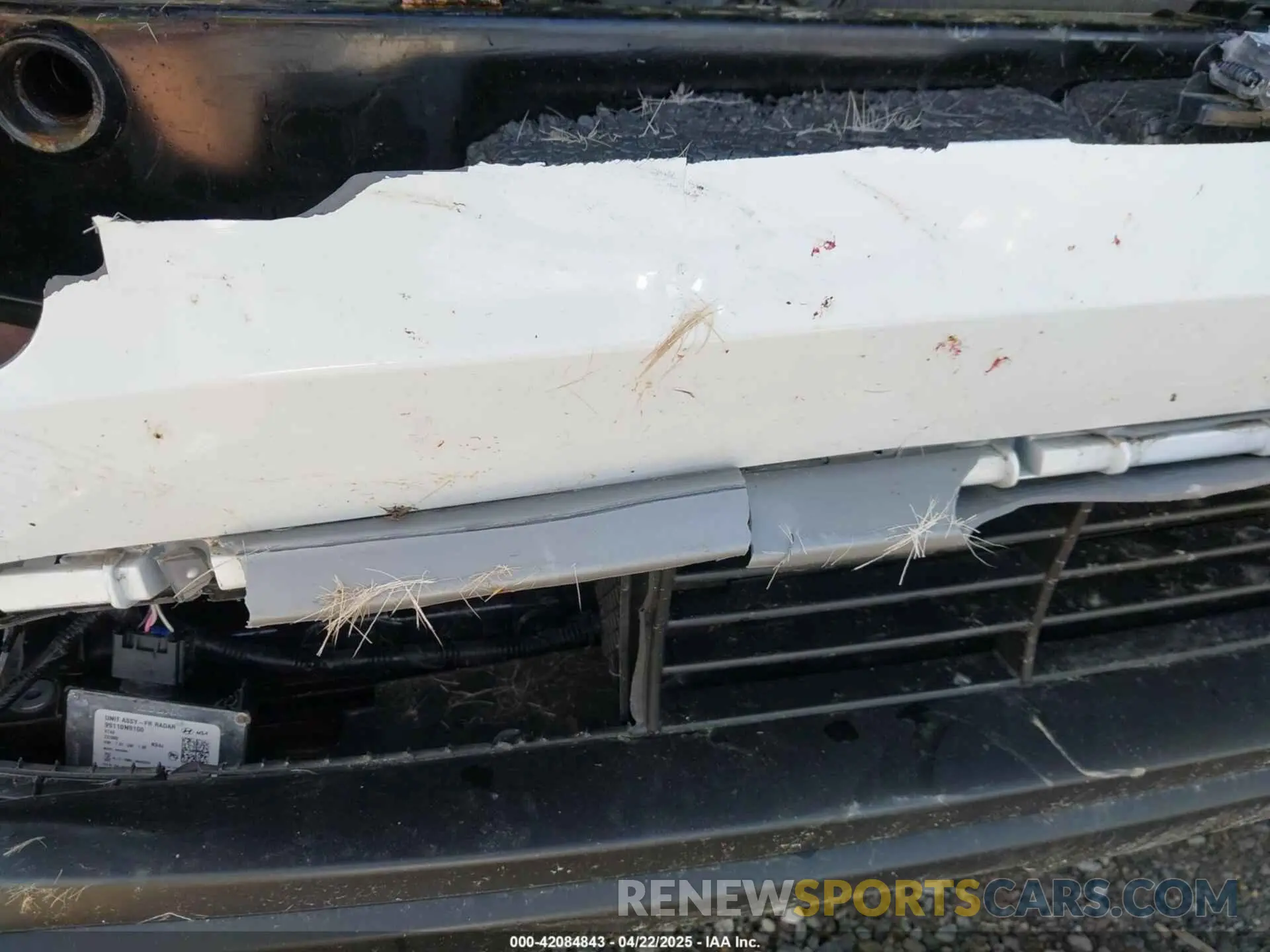 19 Photograph of a damaged car KM8JCCD11RU163872 HYUNDAI TUCSON HYBRID 2024